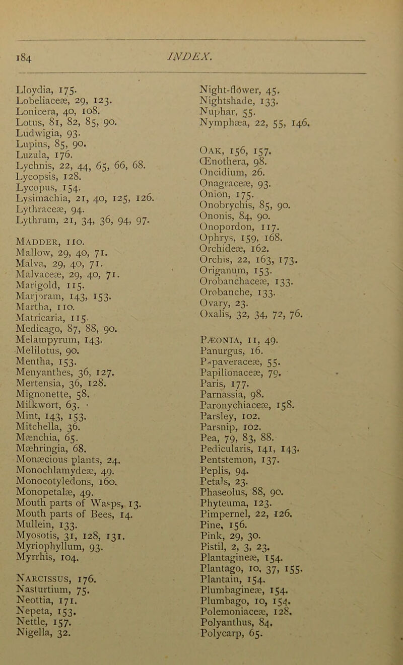 Lloydia, 175. Lobeliaceoe, 29, 123. Lonicera, 40, 108. Lotus, 81, 82, 85, 90. Night-IMwer, 45. Nightshade, 133. Nuphar, 55. Nymphoea, 22, 55, 146. Ludwigia, 93. Lupins, 85, 90, Luzula, 176. Lychnis, 22, 44, 65, 66, 68. Lycopsis, 128. Lycopus, 154. Lysimachia, 21, 40, 125, 126. Lythraceoe, 94. Lythrum, 21, 34, 36, 94, 97. Madder, iio. Mallow, 29, 40, 71. Malva, 29, 40, 71. Malvaceae, 29, 40, 71. Marigold, 115. Marjoram, 143, 153. Martha, 110. Matricaria, 115. Medicago, 87, 88, 90. Oak, 156, 157. CKnothera, 98. Oncidium, 26. Onagraceoe, 93. Onion, 175. Onobrychis, 85, 90. Ononis, 84, 90. Onopordon, 117. Ophrys, 159, 168. Orchideoe, 162. Orchis, 22, 163, 173. Origanum, 153. Orobanchaceoe, 133. Orobanche, 133. Ovary, 23. Oxalis, 32, 34, 72, 76. Melampyrum, 143. Melilotus, 90. Mentha, 153. Menyanthes, 36, 127. Mertensia, 36, 128. Mignonette, 58. Milkwort, 63. • Mint, 143, 153. Mitchella, 36. Maenchia, 65. Maehringia, 68. Monoecious plants, 24. Monochlamydese, 49. Monocotyledons, 160. Monopetaloe, 49. Mouth parts of Wasps, 13. Mouth parts of Bees, 14. Mullein, 133. Myosotis, 31, 128, 131. Myriophyllum, 93. Myrrhis, 104. Narcissus, 176. Nasturtium, 75. Neottia, 171. Nepeta, 133. Nettle, 157. Nigella, 32. P^EONIA, 11, 49. Panurgus, 16. P^paveraceoe, 55. Papilionaceoe, 79. Paris, 177. Pai-nassia, 98. Paronychiaceoe, 158. Parsley, 102. Parsnip, 102. Pea, 79, 83, 88. Pedicularis, 141, 143. Pentstemon, 137. Peplis, 94. Petals, 23. Phaseolus, 88, 90. Phyteuma, 123. Pimpernel, 22, 126. Pine, 156. Pink, 29, 30. Pistil, 2, 3, 23. Plantagineae, 154. Plantago, 10, 37, 155. Plantain, 154. Plumbaginecc, 154. Plumbago, 10, 154. Polemoniaceoe, 128. Polyanthus, 84. Polycarp, 65.