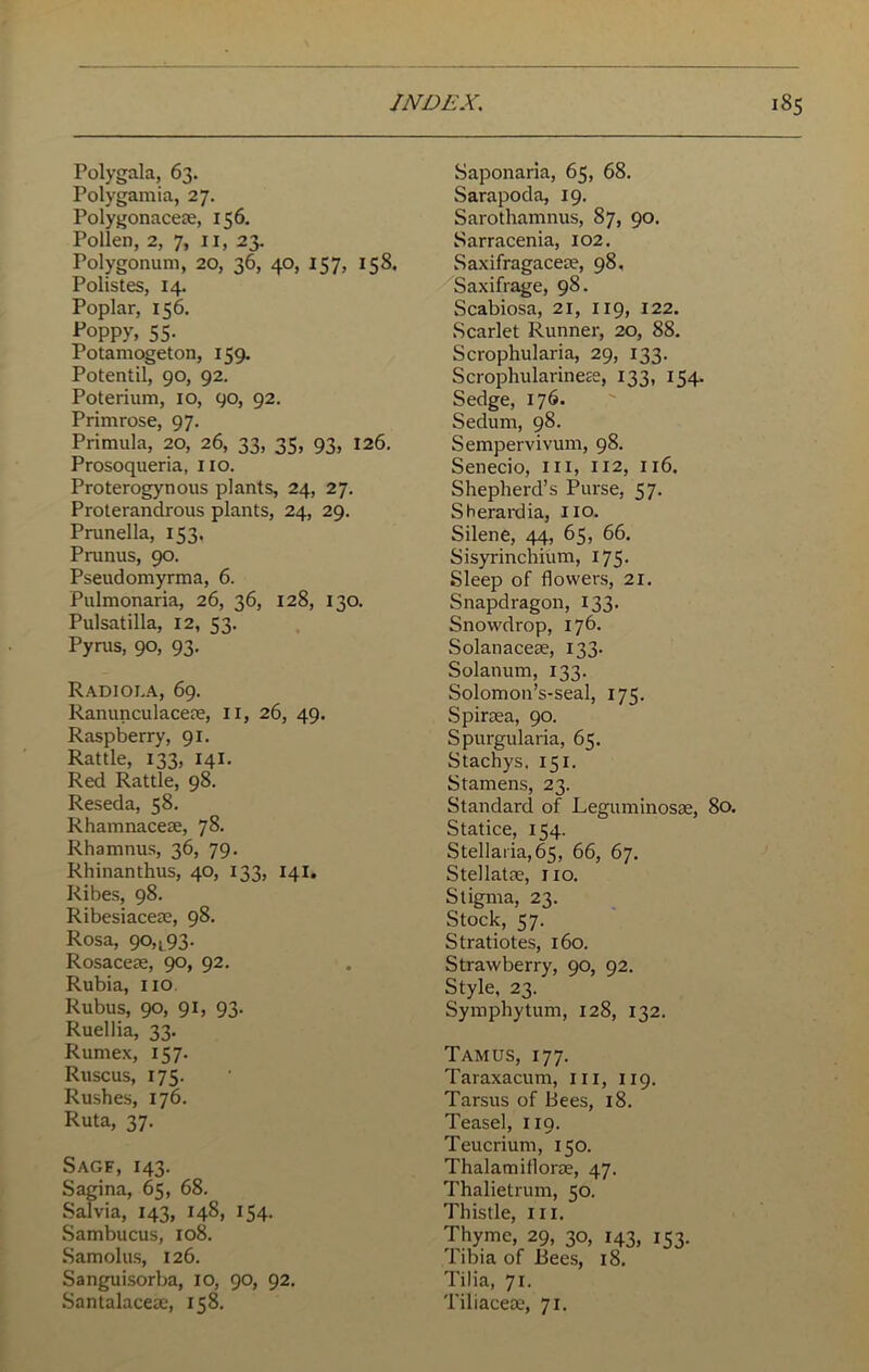 Polygala, 63. Polygamia, 27. Polygonaceae, 156. Pollen, 2, 7, 11, 23. Polygonum, 20, 36, 40, 157, 158. Polistes, 14. Poplar, 156. p°ppy> 55- Potamogeton, 159. Potentil, 90, 92. Poterium, 10, 90, 92. Primrose, 97. Primula, 20, 26, 33, 35, 93, 126. Prosoqueria, 110. Proterogynous plants, 24, 27. Proterandrous plants, 24, 29. Prunella, 153. Prunus, 90. Pseudomyrma, 6. Pulmonaria, 26, 36, 128, 130. Pulsatilla, 12, 53. Pyrus, 90, 93. Radiola, 69. Ranunculaceae, 11, 26, 49. Raspberry, 91. Rattle, 133, 141. Red Rattle, 98. Reseda, 58. Rhamnaceae, 78- Rhamnus, 36, 79. Rhinanthus, 40, 133, 141. Ribes, 98. Ribesiaceae, 98. Rosa, 90,^3. Rosaceae, 90, 92. Rubia, no Rubus, 90, 91, 93. Ruellia, 33. Rumex, 157. Ruscus, 175. Rushes, 176. Ruta, 37. Sagf, 143. Sagina, 65, 68. Salvia, 143, 148, 154. Sambucus, 108. Samolus, 126. Sanguisorba, 10, 90, 92. Santalaceae, 158. Saponaria, 65, 68. Sarapoda, 19. Sarothamnus, 87, 90. Sarracenia, 102. Saxifragaceae, 98, Saxifrage, 98. Scabiosa, 21, 119, 122. Scarlet Runner, 20, 88. Scrophularia, 29, 133. Scrophularineae, 133. 154- Sedge, 176. Sedum, 98. Sempervivum, 98. Senecio, in, 112, 116. Shepherd’s Purse, 57. Sherardia, IIO. Silene, 44, 65, 66. Sisyrinchium, 175. Sleep of flowers, 21. Snapdragon, 133. Snowdrop, 176. Solanaceae, 133. Solatium, 133. Solomon’s-seal, 175. Spiraea, 90. Spurgularia, 65. Stachys. 151. Stamens, 23. Standard of Leguminosae, 80. Statice, 154. Stellaria,65, 66, 67. Stellatae, no. Stigma, 23. Stock, 57. Stratiotes, 160. Strawberry, 90, 92. Style, 23. Symphytum, 128, 132. Tamus, 177. Taraxacum, in, 119. Tarsus of Bees, 18. Teasel, 119. Teucrium, 150. Thalamiflorae, 47. Thalietrum, 50. Thistle, in. Thyme, 29, 30, 143, 153. Tibia of JBees, 18. Tilia, 71. Tiliaceae, 71.