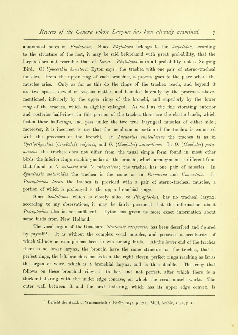 anatomical notes on JPhytotoma. Since Fliyiotoma belongs to the Ampelidae, according to the structure of the foot, it may be said beforehand with great probability, that the larynx does not resemble that of Loxia, Tliytotoma is in all probability not a Singing Bird. Of JJpucerthia diimetoria Eyton says: the trachea with one pair of sterno-tracheal muscles. From the upper ring of each bronchus, a process goes to the place where the muscles arise. Only as far as this do the rings of the trachea reach, and beyond it are two spaces, devoid of osseous matter, and bounded laterally by the processes above- mentioned, inferiorly by the upper rings of the bronchi, and superiorly by the lower ring of the trachea, which is slightly enlarged. As well as the fine vibrating anterior and posterior half-rings, in this portion of the trachea there are the elastic bands, which fasten these half-rings, and pass under the two true laryngeal muscles of either side ; moreover, it is incorrect to say that the membranous portion of the trachea is connected with the processes of the bronchi. In Fttmarius cunicularius the trachea is as in OjpetiorhyncTius (Cinclodes) vulgaris, and 0. (Cmclodes) antardicus. In 0. [Cinclodes) pata- ffonicus, the trachea does not differ from the usual simple form found in most other birds, the inferior rings reaching as far as the bronchi, which arrangement is different from that found in 0. vulgaris and 0. antardicus; the trachea has one pair of muscles. In Synallaxis maluroides the trachea is the same as in Furnarius and Upucerthia. In Fteroptochus tarnii the trachea is provided with a pair of sterno-tracheal muscles, a portion of which is prolonged to the upper bronchial rings. Since Scytalojius, which is closely allied to Fteroptochus, has no tracheal larynx, according to my observations, it may be fairly presumed that the information about Fteroptochus also is not sufficient. Eyton has given us more exact information about some birds from New Holland. The vocal organ of the Guacharo, Steatornis caripensis, has been described and figm-ed by myself^. It is without the complex vocal muscles, and possesses a peculiarity, of which till now no example has been known among birds. At the lower end of the trachea there is no lower larynx, the bronchi have the same structure as the trachea, that is perfect rings, the left bronchus has sixteen, the right eleven, perfect rings reaching as far as the organ of voice, which is a bronchial larynx, and is thus double. The ring that follows on these bronchial rings is thicker, and not perfect, after which there is a thicker half-ring with the under edge concave, on which the vocal muscle works. The outer wall between it and the next half-ring, which has its upper edge convex, is 1 Bericht der Akad. d. Wissenschaft z. Berlin 1841, p. 172 ; Miill. Archiv, 1842, p. i.