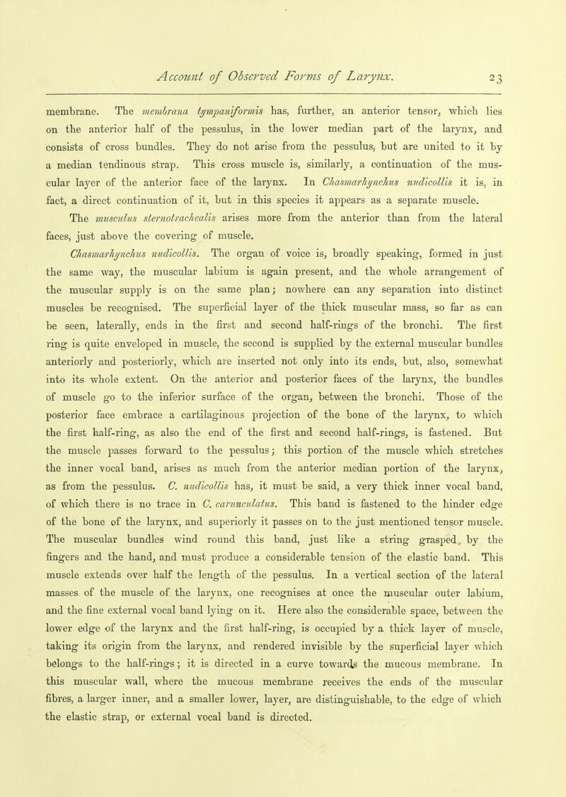 membrane. The memlrana tpnpanifofmis has, further, an anterior tensor^ which lies on the anterior half of the pessulus, in the lower median part of the larynx, and consists of cross bundles. They do not arise from the pessulus, but are united to it by a median tendinous strap. This cross muscle is, similarly, a continuation of the mus- cular layer of the anterior face of the larynx. In Chasmarliynclms midicollis it is, in fact, a direct continuation of it, but in this species it appears as a separate muscle. The musculus sternotracJiealis arises more from the anterior than from the lateral faces, just above the covering of muscle. Cliasmarhynclius nudicoUis, The organ of voice is^ broadly speaking, formed in just the same way, the muscular labium is again present, and the whole arrangement of the muscular supply is on the same plan; nowhere can any separation into distinct muscles be recognised. The superficial layer of the thick muscular mass, so far as can be seen, laterally, ends in the first and second half-rings of the bronchi. The first ring is quite enveloped in muscle, the second is supplied by the external muscular bundles anteriorly and posteriorly, which are inserted not only into its ends, but, also, somewhat into its whole extent. On the anterior and posterior faces of the larynx, the bundles of muscle go to the inferior surface of the organ, between the bronchi. Those of the posterior face embrace a cartilaginous projection of the bone of the larynx, to which the first half-ring, as also the end of the first and second half-rings, is fastened. But the muscle passes forward to the pessulus; this portion of the muscle which stretches the inner vocal band, arises as much from the anterior median portion of the larynx, as from the pessulus. C. nudicoUis has, it must be said, a very thick inner vocal band, of which there is no trace in C. canmculatus. This band is fastened to the hinder edge of the bone of the larynx, and superiorly it passes on to the just mentioned tensor muscle. The muscular bundles wind round this band, just like a string grasped, by the fingers and the hand, and must produce a considerable tension of the elastic band. This muscle extends over half the length of the pessulus. In a vertical section of the lateral masses of the muscle of the larynx, one recognises at once the muscular outer labium, and the fine external vocal band lying on it. Here also the considerable space, between the lower edge of the larynx and the first half-ring, is occupied by a thick layeT of muscle, taking its origin from the larynx, and rendered invisible by the superficial layer which belongs to the half-rings ; it is directed in a curve towarcls the mucous membrane. In this muscular wall, where the mucous membrane receives the ends of the muscular fibres, a larger inner, and a smaller lower, layer, are distinguishable, to the edge of which tbe elastic strap, or external vocal band is directed.