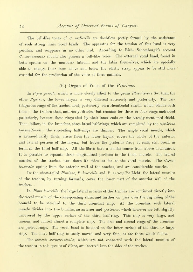 The bell-like tones of C. nudicoUis are doubtless partly formed by the assistance of such strong inner vocal bands. The apparatus for the tension of this band is very peculiar, and reappears in no other bird. According to Rich. Schomburgk's account C. carunculatus should also possess a bell-like voice. The external vocal band, found in both species on the muscular labium, and the labia themselves, which are specially able to change their form above and below the elastic strap, appear to be still more essential for the production of the voice of these animals. (ii.) Organ of Voice of the Piprinae. In Pipra ^areola, which is more closely allied to the genus PJioenicercns Sw. than the other Piprinae, the lower larynx is very different anteriorly and posteriorly. The car- tilaginous rings of the trachea abut, posteriorly, on a rhomboidal shield, which blends with them ; the trachea then, anteriorly, divides, but remains for three or four rings undivided posteriorly, because these rings abut by their inner ends on the already mentioned shield. Then follow, in the bronchus, three broad half-rings, which are completed by the membrana tymjpaniformis; the succeeding half-rings are thinner. The single vocal muscle, which is extraordinaril}' thick, arises from the lower larynx, covers the whole of the anterior and lateral portions of the larynx, but leaves the posterior free; it ends, still broad in form, in the third half-ring. All the fibres have a similar course from above downwards. It is possible to separate three longitudinal portions in the thick muscle. The lateral muscles of the trachea pass down its sides as far as the vocal muscle. The sterno- tracheales spring from the anterior wall of the trachea, and are considerable muscles. In the short-tailed Piprinae, P. leucocilla and P. auricajoilla Licht. the lateral muscles of the trachea, by turning forwards, cover the lower part of the anterior wall of the trachea. In Pipra leucocilla, the large lateral muscles of the trachea are continued directly into the vocal muscle of the corresponding sides, and further on pass over the beginning of the bronchi to be attached to the third bronchial ring. At the bronchus, each lateral muscle divides into two bundles, an anterior and posterior, which however are left slightly uncovered by the upper surface of the third half-ring. This ring is very large, and osseous, and indeed almost a complete ring. The first and second rings of the bronchus are perfect rings. The vocal band is fastened to the inner surface of the third or large ring. The next half-ring is easily moved, and very thin, as are those which follow. The musctdi sternotracheales, which are not connected with the lateral muscles of the trachea in this species of Pipra, are inserted into the sides of the trachea.