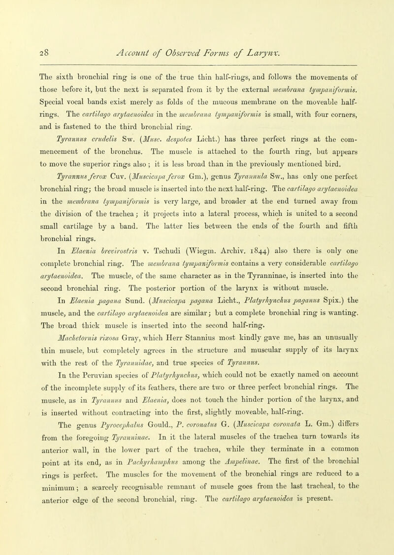 The sixth bronchial ring is one of the true thin half-rings, and follows the movements of those before it, but the next is separated from it by the external membrana tympaniformis. Special vocal bands exist merely as folds of the mucous membrane on the moveable half- rings. The cartilago arytaenoidea in the membrana tymjianiformis is small, with four corners, and is fastened to the third bronchial ring. Tyrannus crudelis Sw. [Muse, despotes Licht.) has three perfect rings at the com- mencement of the bronchus. The muscle is attached to the fourth ring, but appears to move the superior rings also ; it is less broad than in the previously mentioned bird. Tyrannus ferox Cuv. (3Iuscicapa ferox Gm.), genus Tyrannula Sw., has only one perfect bronchial ring; the broad muscle is inserted into the next half-ring. The cartilago arytaenoidea in the membrana tymj^aniformis is very large, and broader at the end turned away from the division of the trachea; it projects into a lateral process, which is united to a second small cartilage by a band. The latter lies between the ends of the fourth and fifth bronchial rings. In Elaenia brevirosfris v. Tschudi (Wiegm. Archiv. 1844) also there is only one complete bronchial ring. The membrana tympjaniformis contains a very considerable cartilago arytaenoidea. The muscle, of the same character as in the Tyranninae, is inserted into the second bronchial ring. The posterior portion of the larynx is without muscle. In Elaenia jpagana Sund. {Muscicapa pagana Licht., Platyrhynchus paganus Spix.) the muscle, and the cartilago arytaenoidea are similar; but a complete bronchial ring is wanting. The broad thick muscle is inserted into the second half-ring. Machetornis rixosa Gray, which Herr Stannius most kindly gave me, has an unusually thin muscle, but completely agrees in the structure and muscular supply of its larynx with the rest of the Tyrannidae, and true species of Tyranntis. In the Peruvian species of Platyrhynckus, which could not be exactly named on account of the incomplete supply of its feathers, there are two or three perfect bronchial rings. The muscle, as in Tyrannus and Elaenia, does not touch the hinder portion of the larynx, and is inserted without contracting into the first, slightly moveable, half-ring. The genus Pyrocejjhalns Gould., P. coronatus G. [Muscicapa coronata L. Gm.) differs from the foregoing Tyranninae. In it the lateral muscles of the trachea turn towards its anterior wall, in the lower part of the trachea, while they terminate in a common point at its end, as in Tacliyrhamphus among the Ampelinae. The first of the bronchial rings is perfect. The muscles for the movement of the bronchial rings are reduced to a minimum; a scarcely recognisable remnant of muscle goes from the last tracheal, to the anterior edge of the second bronchial, ring. The cartilago arytaenoidea is present.