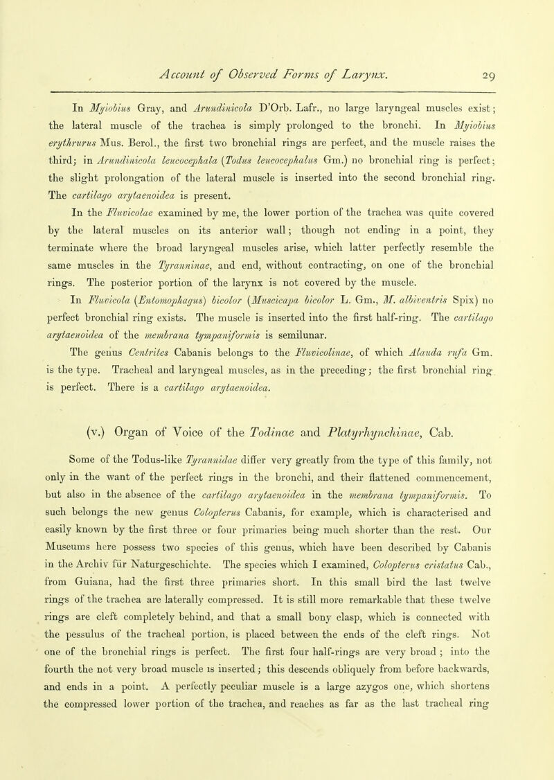 In Myiohius Gray, and Arundinicola D'Orb. Lafr., no large laryngeal muscles exist; the lateral muscle of the trachea is simply prolonged to the bronchi. In Myiohius erythrurus Mus. Berol., the first two bronchial rings are perfect, and the muscle raises the third; Arundinicola leucocephala {Todus leucocephalus Gm.) no bronchial ring is perfect; the slight prolongation of the lateral muscle is inserted into the second bronchial ring. The cartilago arytaenoidea is present. In the Fluvicolae examined by me, the lower portion of the trachea was quite covered by the lateral muscles on its anterior wall; though not ending in a point, they terminate where the broad laryngeal muscles arise, which latter perfectly resemble the same muscles in the Tyranninae, and end, without contracting, on one of the bronchial rings. The posterior portion of the larynx is not covered by the muscle. In Fluvicola {Entomopliagus) hicolor {Muscicapa hicolor L, Gm., M. albiventris Spix) no perfect bronchial ring exists. The muscle is inserted into the first half-ring. The cartilago arytaenoidea of the memhrana tympaniformis is semilunar. The genus Centrites Cabanis belongs to the Fluvicolinae, of which Alauda rufa Gm. is the type. Tracheal and laryngeal muscles, as in the preceding; the first bronchial ring is perfect. There is a cartilago arytaenoidea. (v.) Organ of Voice of the Todinae and Platyrhynchinae, Cab. Some of the Todus-like Tyrannidae differ very greatly from the type of this family, not only in the want of the perfect rings in the bronchi, and their flattened commencement, but also in the absence of the cartilago arytaenoidea in the membrana tympaniformis. To such belongs the new genus Colojjterus Cabanis, for example, which is characterised and easily known by the first three or four primaries being much shorter than the rest. Our Museums here possess two species of this genus, which have been described by Cabanis in the Archiv fiir Naturgeschichte. The species which I examined, Colopterus cristatus Cab., from Guiana, had the first three primaries short. In this small bird the last twelve rings of the trachea are laterally compressed. It is still more remarkable that these twelve rings are cleft completely behind, and that a small bony clasp, which is connected with the pessulus of the tracheal portion, is placed between the ends of the cleft rings. Not one of the bronchial rings is perfect. The first four half-rings are very broad ; into the fourth the not very broad muscle is inserted; this descends obliquely from before backwards, and ends in a point. A perfectly peculiar muscle is a large azygos one, which shortens the compressed lower portion of the trachea, and reaches as far as the last tracheal ring
