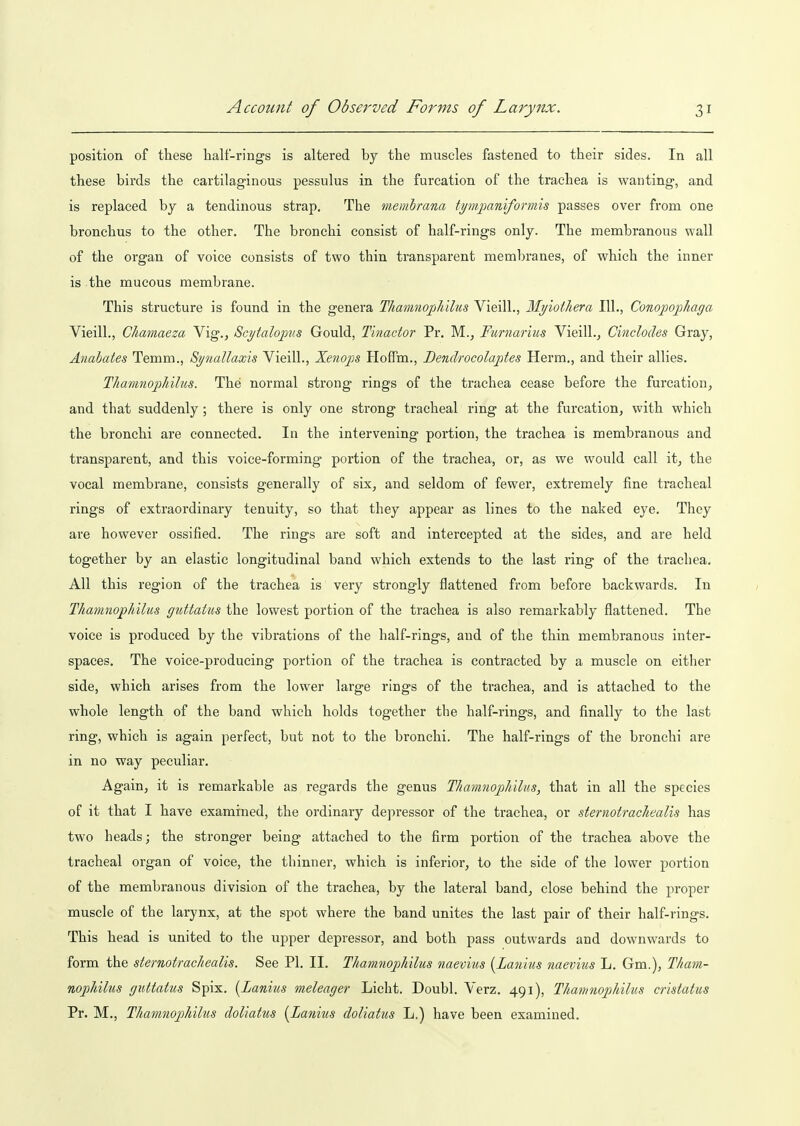 position of these half-rings is altered by the muscles fastened to their sides. In all these birds the cartilaginous pessulus in the furcation of the trachea is wanting, and is replaced by a tendinous strap. The memhrana tpnjjaniformis passes over from one bronchus to the other. The bronchi consist of half-rings only. The membranous wall of the organ of voice consists of two thin transparent membranes, of which the inner is the mucous membrane. This structure is found in the genera TliamnopJt'ilus Vieill., Mi/iothera 111., Conopophaga Vieill., Chamaeza Vig., Scytalopus Gould, Tinactor Pr. M., Furnarius Vieill., Cinclodes Gray, Anahates Temm., Synallaxis Vieill., Xenops HofTm., Bendrocolaptes Herm., and their allies. Thamnopldlus. The normal strong rings of the trachea cease before the furcation, and that suddenly; there is only one strong tracheal ring at the furcation, with which the bronchi are connected. In the intervening portion, the trachea is membranous and transparent, and this voice-forming portion of the trachea, or, as we would call it, the vocal membrane, consists generally of six, and seldom of fewer, extremely fine tracheal rings of extraordinary tenuity, so that they appear as lines to the naked eye. They are however ossified. The rings are soft and intercepted at the sides, and are held together by an elastic longitudinal band which extends to the last ring of the trachea. All this region of the trachea is very strongly flattened from before backwards. In Thamnophilus guttatus the lowest portion of the trachea is also remarkably flattened. The voice is produced by the vibrations of the half-rings, and of the thin membranous inter- spaces. The voice-producing portion of the trachea is contracted by a muscle on either side, which arises from the lower large rings of the trachea, and is attached to the whole length of the band which holds together the half-rings, and finally to the last ring, which is again perfect, but not to the bronchi. The half-rings of the bronchi are in no way peculiar. Again, it is remarkable as regards the genus Thamnophilus, that in all the species of it that I have examined, the ordinary depressor of the trachea, or stermtracliealis has two heads; the stronger being attached to the firm portion of the trachea above the tracheal organ of voice, the thinner, which is inferior, to the side of the lower portion of the membranous division of the trachea, by the lateral band, close behind the proper muscle of the larynx, at the spot where the band unites the last pair of their half-rings. This head is united to the upper depressor, and both pass outwards and downwards to form the sternotrachealis. See PI. II. Thamnophilus naevms {Lanius naevius L. Gm.), Tham- nophilus guttatus Spix. {Lanius meleager Licht. Doubl. Verz. 491), Thamnophilus cristatus Pr. M., Thamnophihis doliatus {Lanius doliatus L.) have been examined.