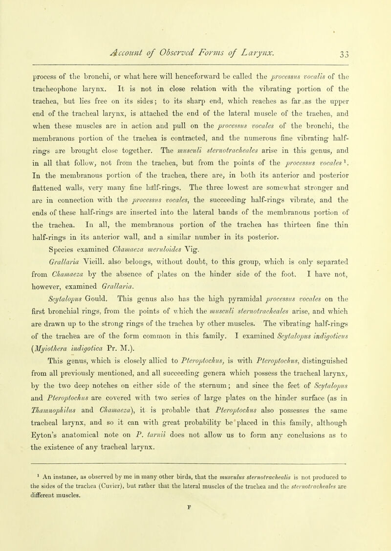 process of tlie bronchi, or what here will henceforward be called the jjrocessus vocalis of the tracheophone larynx. It is not in close relation with the vibrating portion of the trachea, but lies free on its sides; to its sharp end, which reaches as far as the upper end of the tracheal larynx, is attached the end of the lateral muscle of the trachea, and when these muscles are in action and pull on the jprocessus vocales of the bronchi, the membranous portion of the trachea is contracted, and the numerous fine vibrating half- rings are brought close together. The muscuU sternotracheales arise in this genus^ and in all that follow^ not from the trachea, but from the points of the j'jrocm^rs vocales'^. In the membranous portion of the trachea, there are^ in both its anterior and posterior flattened walls, very many fine half-rings. The three lowest are somewhat stronger and are in connection with the jirocess?;^ vocales, the succeeding half-rings vibrate, and the ends of these half-rings are inserted into the lateral bands of the membranous portion of the trachea. In all, the membranous portion of the trachea has thirteen fine thin half-rings in its anterior wall, and a similar number in its posterior. Species examined Chamaeza meruloides Vig. Grallaria Vieill. also belongs, without doubt, to this group, which is only separated from Chamaeza by the absence of plates on the hinder side of the foot. I have not, however, examined Grallaria. Sc^talopus Gould. This genus also has the high pyramidal processus vocales on the first bronchial rings, from the points of which the musculi sternotracheales arise, and which are drawn up to the strong rings of the trachea by other muscles. The vibrating half-rings of the trachea are of the form common in this family. I examined Scijtalopus indlgoticvs (Myiothera indlgotica Pr. M.). This genus, which is closely allied to Pterojdochus, is with Vteroptochus, distinguished from all previously mentioned, and all succeeding genera which possess the tracheal larynx^ by the two deep notches on either side of the sternum; and since the feet of Scytalopiis and Pteroptochus are covered with two series of large plates on the hinder surface (as in Thamnophilus and Chamaeza), it is probable that Pteroptochus also possesses the same tracheal larynx, and so it can with great probability be placed in this family, although Eyton's anatomical note on P. tarnii does not allow us to form any conclusions as to the existence of any tracheal larynx. ^ An instance, as observed by me in many other birds, that the musculus sternotrachealis is not produced to the sides of the trachea (Cuvier), but rather that the lateral muscles of the trachea and the stcrnotrachealea are different muscles. P