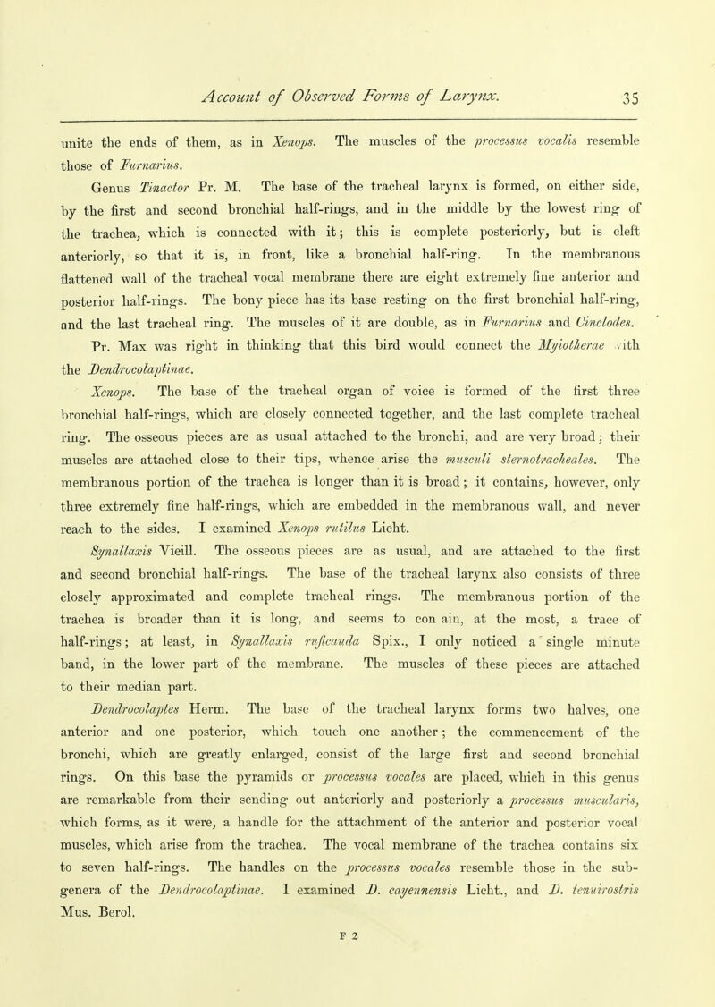 unite tlie ends of them, as in Xenops. The muscles of the processus vocalis resemble those of Furnarms. Genus Tinador Pr. M. The base of the tracheal larynx is formed, on either side, by the first and second bronchial half-rings, and in the middle by the lowest ring of the trachea, which is connected with it; this is complete posteriorly, but is cleft anteriorly, so that it is, in front, like a bronchial half-ring. In the membranous flattened wall of the tracheal vocal membrane there are eight extremely fine anterior and posterior half-rings. The bony piece has its base resting on the first bronchial half-ring, and the last tracheal ring. The muscles of it are double, as in Furnarius and Cinelodes. Pr. Max was right in thinking that this bird would connect the My'iotlierae \ith the Dendrocolaptinae. Xenops. The base of the tracheal organ of voice is formed of the first three bronchial half-rings, which are closely connected together, and the last complete tracheal ring. The osseous pieces are as usual attached to the bronchi, and are very broad; their muscles are attached close to their tips, whence arise the nmsculi sternotmcheales. The membranous portion of the trachea is longer than it is broad; it contains, however, only three extremely fine half-rings, which are embedded in the membranous wall, and never reach to the sides. I examined Xenops ruiilus Licht. S^nallaxis Vieill. The osseous pieces are as usual, and are attached to the first and second bronchial half-rings. The base of the tracheal larynx also consists of three closely approximated and complete tracheal rings. The membranous portion of the trachea is broader than it is long, and seems to con ain, at the most, a trace of half-rings; at least, in Synallaxls ruficauda Spix., I only noticed a single minute band, in the lower part of the membrane. The muscles of these pieces are attached to their median part. Bendrocolaptes Herm. The base of the tracheal larynx forms two halves, one anterior and one posterior, which touch one another; the commencement of the bronchi, which are greatly enlarged, consist of the large first and second bronchial rings. On this base the pyramids or processus vocales are placed, which in this genus are rem^arkable from their sending out anteriorly and posteriorly a processus muscularis, which forms, as it were, a handle for the attachment of the anterior and posterior vocal muscles, which arise from the trachea. The vocal membrane of the trachea contains six to seven half-rings. The handles on the processus vocales resemble those in the sub- genera of the Dendrocolaptinae. I examined B. cayennensis Licht., and D. tenuirostris Mus. Berol.