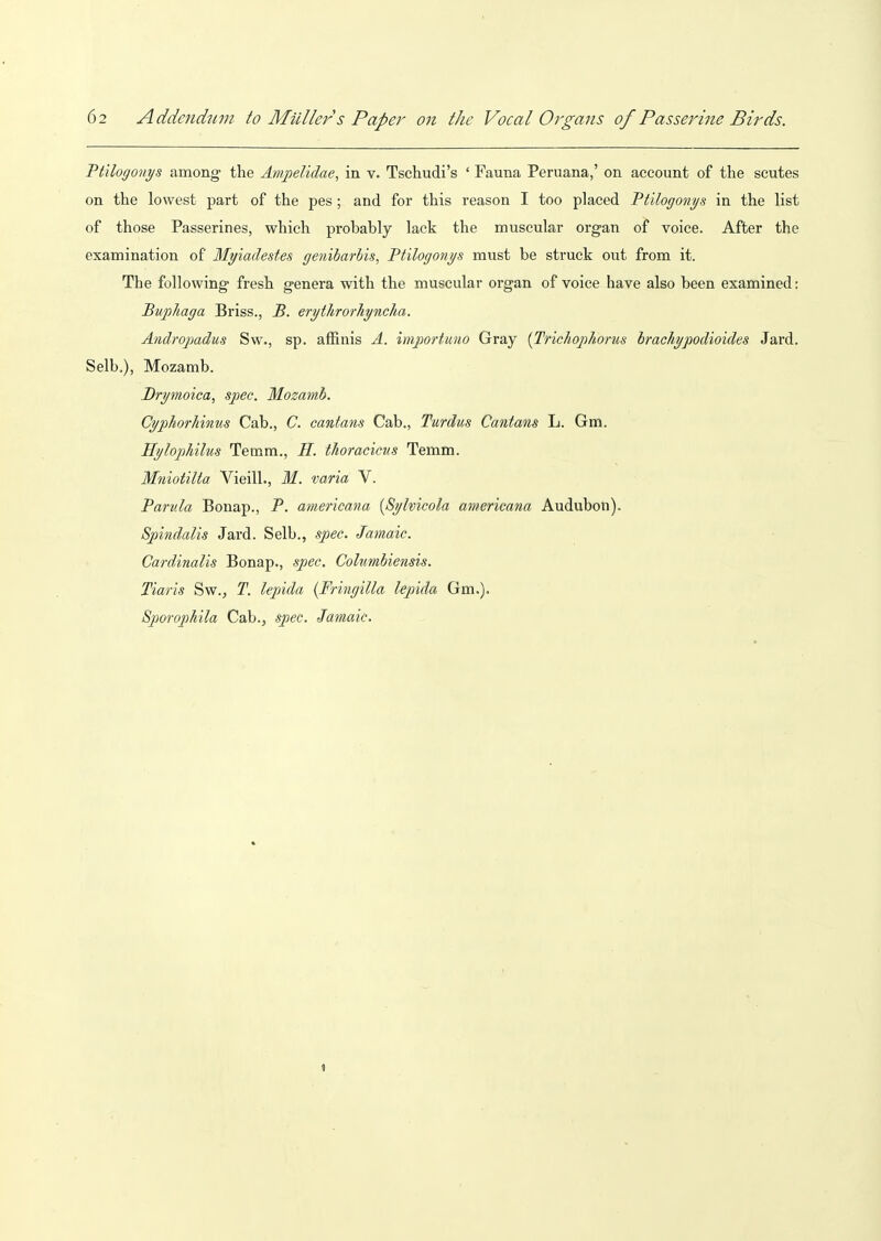 Ptilogonys among the Ampelidae, in v. Tschudi's ' Fauna Peruana,' on account of the scutes on the lowest part of the pes ; and for this reason I too placed Ptilogonys in the list of those Passerines, which probably lack the muscular organ of voice. After the examination of Myiaclestes genibarlis, Ptilogonys must be struck out from it. The following fresh genera with the muscular organ of voice have also been examined: Buphaga Briss., B. erythrorhyncha. Andropadus Sw., sp. afRnis A. importmio Gray {Trichophorus brachypodioides Jard. Selb.), Mozamb. Brymoica, spec. Mozamb. Cyphorhinus Cab., C. cantans Cab., Turdus Cantans L. Gm. Hylophilus Temm., H. thoraciciis Temm. Mniotilta Vieill., M. varia V. Panda Bonap., P. americana {Sylvicola americana Audubon). Spindalis Jard. Selb., spec. Jatnaic. Cardinalis Bonap., spec. Columbiensis. Tiaris Sw., T. lepida (Fringilla lepida Gm.). Sporophila Cab., spec. Jamaic. 1