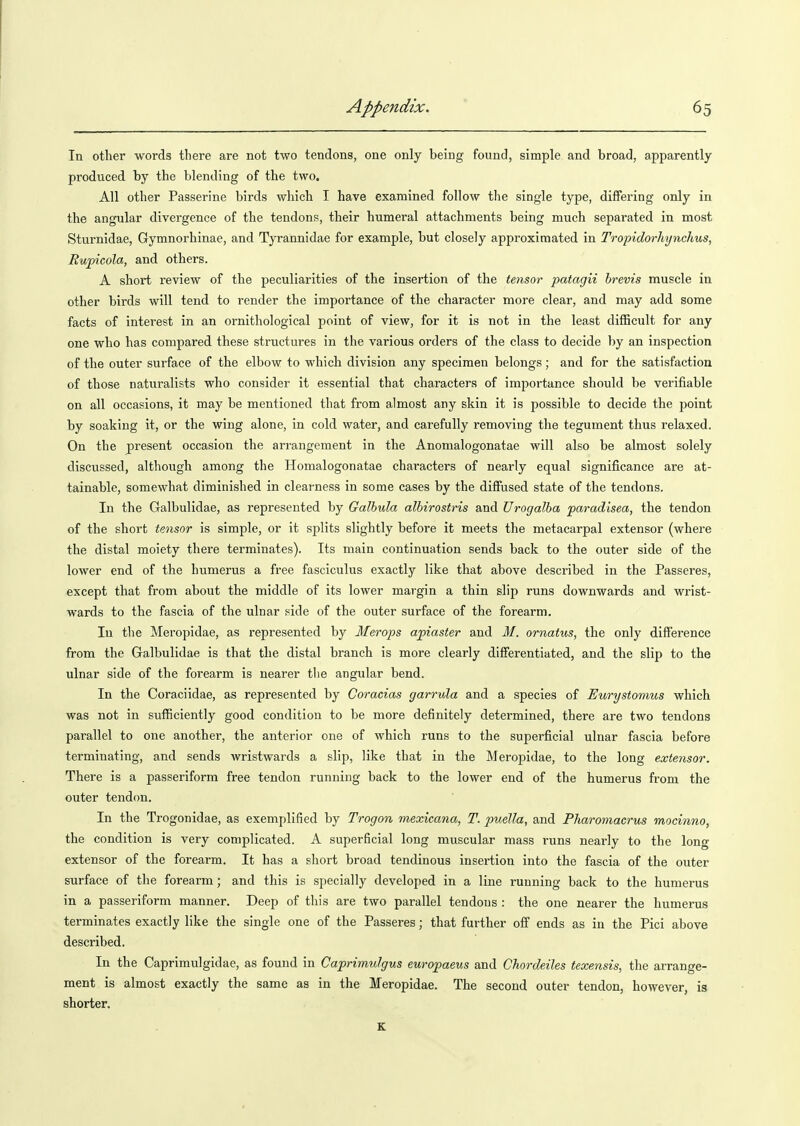 In other words there are not two tendons, one only being found, simple and broad, apparently produced by the blending of the two. All other Passerine birds which I have examined follow tlie single type, differing only in the angular divergence of the tendons, their humeral attachments being much separated in most Sturnidae, Gymnorhinae, and Tyrannidae for example, but closely approximated in Tropidorhynchus, Eupicola, and others. A short review of the peculiarities of the insertion of the tensor patagii hrevis muscle in other birds will tend to render the importance of the character more clear, and may add some facts of interest in an ornithological point of view, for it is not in the least difficult for any one who has compared these structures in the various orders of the class to decide by an inspection of the outer surface of the elbow to which division any specimen belongs; and for the satisfaction of those naturalists who consider it essential that characters of importance should be verifiable on all occasions, it may be mentioned that from almost any skin it is possible to decide the point by soaking it, or the wing alone, in cold water, and carefully removing the tegument thus relaxed. On the present occasion the arrangement in the Anomalogonatae will also be almost solely discussed, although among the Homalogonatae characters of nearly equal significance are at- tainable, somewhat diminished in clearness in some cases by the diffused state of the tendons. In the Galbulidae, as represented by Galhula albirostris and Urogalha jparadisea, the tendon of the short tensor is simple, or it splits slightly before it meets the metacarpal extensor (where the distal moiety there terminates). Its main continuation sends back to the outer side of the lower end of the humerus a free fasciculus exactly like that above described in the Passeres, except that from about the middle of its lower margin a thin slip runs downwards and wrist- wards to the fascia of the ulnar side of the outer surface of the forearm. lu tlie Meropidae, as represented by Merops apiasier and M. ornatus, the only difference from the Galbulidae is that the distal branch is more clearly differentiated, and the slip to the ulnar side of the forearm is nearer tlie angular bend. In the Coraciidae, as represented by Coracias garrula and a species of Eurystomus which was not in sufficiently good condition to be more definitely determined, there are two tendons parallel to one another, the anterior one of which runs to the superficial ulnar fascia before terminating, and sends wristwards a slip, like that in the Meropidae, to the long extensor. There is a passeriform free tendon running back to the lower end of the humerus from the outer tendon. In the Trogonidae, as exemplified by Trogon mexicana, T. puella, and Pharomacrus mocinno, the condition is very complicated. A superficial long muscular mass runs nearly to the long extensor of the forearm. It has a short broad tendinous insertion into the fascia of the outer surface of the forearm; and this is specially developed in a line running back to the humerus in a passeriform manner. Deep of this are two parallel tendons : the one nearer the humerus terminates exactly like the single one of the Passeres; that further off ends as in the Pici above described. In the Caprimulgidae, as found in Caprimulgus europaeus and Chordeiles texensis, the arrange- ment is almost exactly the same as in the Meropidae. The second outer tendon, however, is shorter. K