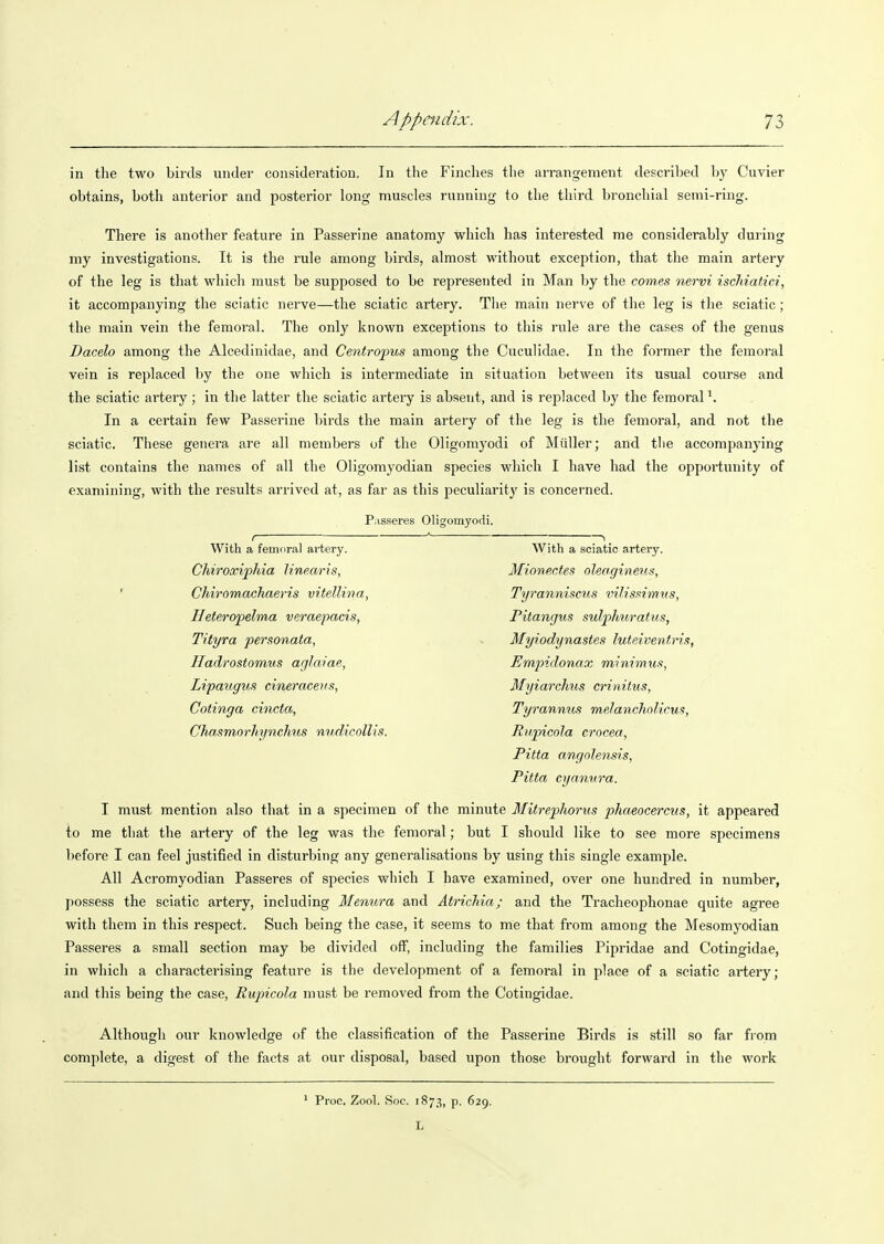 in the two birds under consideration. In the Finches tlie arrangement described by Cuvier obtains, both anterior and posterior long muscles running to the third bronchial semi-ring. There is another feature in Passerine anatomy which has interested me considerably during my investigations. It is the rule among birds, almost without exception, that the main artery of the leg is that which must be supposed to be represented in Man by the comes nervi ischiatici, it accompanying the sciatic nerve—the sciatic artery. The main nerve of the leg is the sciatic; the main vein the femoral. The only known exceptions to this rule are the cases of the genus Dacelo among the Alcedinidae, and Centropus among the Cuculidae. In the former the femoral vein is replaced by the one which is intermediate in situation between its usual course and the sciatic artery ; in the latter the sciatic artery is absent, and is replaced by the femoral In a certain few Passerine birds the main artery of the leg is the femoral, and not the sciatic. These genera are all members of the Oligomyodi of Miiller; and the accompanying list contains the names of all the Oligomyodian species which I have had the opportunity of examining, with the results arrived at, as far as this peculiarity is concerned. Passeres Oligomyofii. With a femoral artery. With a sciatic artery. Chiroxiphia linearis, Mionectes oleagineus, ' Chiromachaeris vitellina, Tyranniscus viJissimvs, Heteropelma veraepacis, Pitangus sulphuratus, Tityra personata, Myiodynastes luteiventris, Hadrostomus aglaiae, Empidonax minimus, Lipmigus cineracens, Myiarchus crinitus, Cotinga cincta, Tyrannus melancholicus, ChMsmorhynclms nudicollis. Rupicola crocea, Pitta angnlensis, Pitta cynnvra. I must mention also that in a specimen of the minute Mitrephorus phaeocercus, it appeared to me that the artery of the leg was the femoral; but I should like to see more specimens before I can feel justified in disturbing any generalisations by using this single example. All Acromyodian Passeres of species which I have examined, over one hundred in number, possess the sciatic artery, including Menura and Atrichia; and the Tracheophonae quite agree with them in this respect. Such being the case, it seems to me that from among the Mesomyodian Passeres a small section may be divided off, including the families Pipridae and Cotingidae, in which a charactei'ising feature is the development of a femoral in place of a sciatic artery; and this being the case, Rupicola must be removed from the Cotingidae. Although our knowledge of the classification of the Passerine Birds is still so far from complete, a digest of the facts at our disposal, based upon those brought forward in the work • Proc. Zool. Soc. 1873, p. 629. L