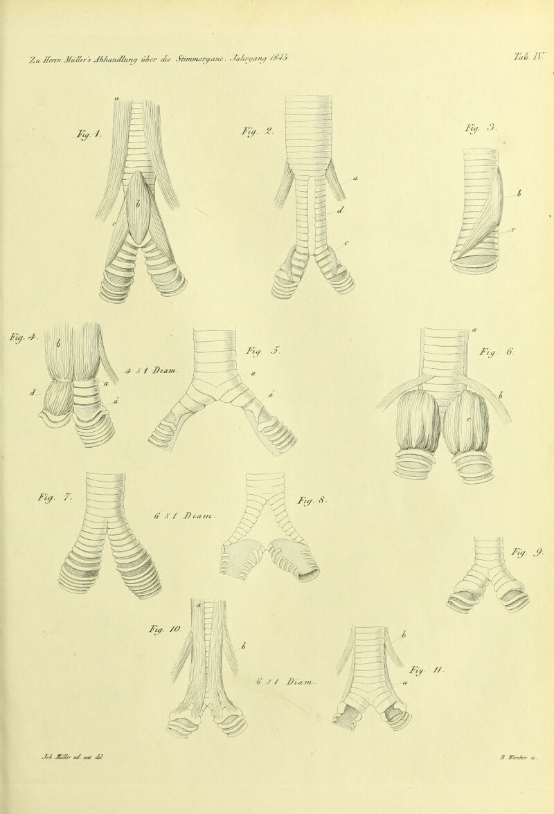 Zu ffcrrn Jlii/lrr's jl6/ianJlzi7u/ uier i/w Sfinunoryanc. .Ta/ire/a/Uf /^-^J. Jo/> Jful/fr a/^- TUi^ cle/. S TTimAer .re.