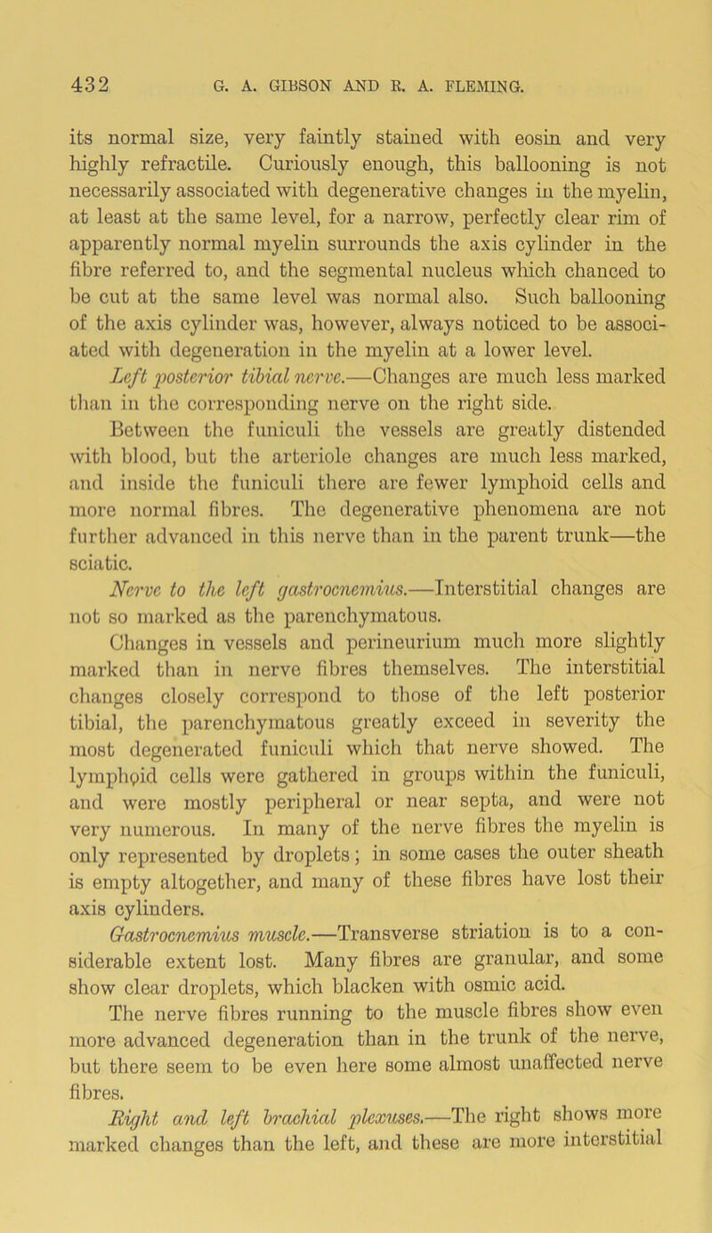 its normal size, very faintly stained with eosin and very highly refractile. Curiously enough, this ballooning is not necessarily associated with degenerative changes in the myelin, at least at the same level, for a narrow, perfectly clear rim of apparently normal myelin surrounds the axis cylinder in the fibre referred to, and the segmental nucleus which chanced to be cut at the same level was normal also. Such ballooning of the axis cylinder was, however, always noticed to be associ- ated with degeneration in the myelin at a lower level. Left posterior tibial nerve.—Changes are much less marked than in the corresponding nerve on the right side. Between the funiculi the vessels are greatly distended with blood, but the arteriole changes are much less marked, and inside the funiculi there are fewer lymphoid cells and more normal fibres. The degenerative phenomena are not further advanced in this nerve than in the parent trunk—the sciatic. Nerve to the left gastrocnemius.—Interstitial changes are not so marked as the parenchymatous. Changes in vessels and perineurium much more slightly marked than in nerve fibres themselves. The interstitial changes closely correspond to those of the left posterior tibial, the parenchymatous greatly exceed in severity the most degenerated funiculi which that nerve showed. The lymphpid cells were gathered in groups within the funiculi, and were mostly peripheral or near septa, and were not very numerous. In many of the nerve fibres the myelin is only represented by droplets; in some cases the outer sheath is empty altogether, and many of these fibres have lost their axis cylinders. Gastrocnemius muscle.—Transverse striation is to a con- siderable extent lost. Many fibres are granular, and some show clear droplets, which blacken with osmic acid. The nerve fibres running to the muscle fibres show even more advanced degeneration than in the trunk of the nerve, but there seem to be even here some almost unaffected nerve fibres. Bight and left brachial plexuses.—The right shows more marked changes than the left, and these are more interstitial