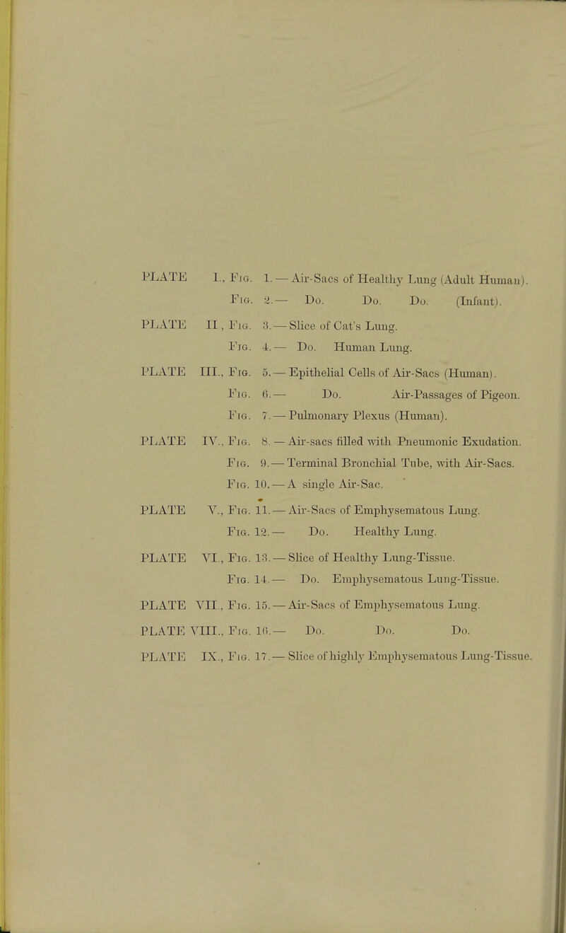 PLATE 1., Fig. 1. Fig. 2. PLATE II, Fig. a. Fig. 4. PLATE III., Fig. 5. Fig. (). Fig. 7. PLATE IV., Fig. 8. Fig. 9. Fig. 10. PLATE Y., Fig. 11. Fig. 12. PLATE VI., Fig. 1:1 Fig. 14. PLATE VII. Fig. 15. PLATE VIII.. Fig. l(i. PLATE IX., Fig. 17. -Air-Sacs of Health)^ Lung (Adult Human). - Do. Do. Do. (Infant;. Slice of Cat's Lung. Do. Human Luiig. Epithelial Cells of Air-Sacs (Human). Do. Aii'-Passages of Pigeon. Pulmonary Plexus (Human). Aii'-sacs filled with Pneumonic Exudation. Terminal Bronchial Tube, with Air-Sacs. A single Air-Sac. Air-Sacs of Emphysematous Lung. Do. Healthy Lung. Slice of Healthy Lung-Tissue. Do. Emphj'sematous Lung-Tissue. Air-Sacs of Emphysematous Limg. Do. Do. Do. Slice of highly Emphysematous Lung-Tissue.