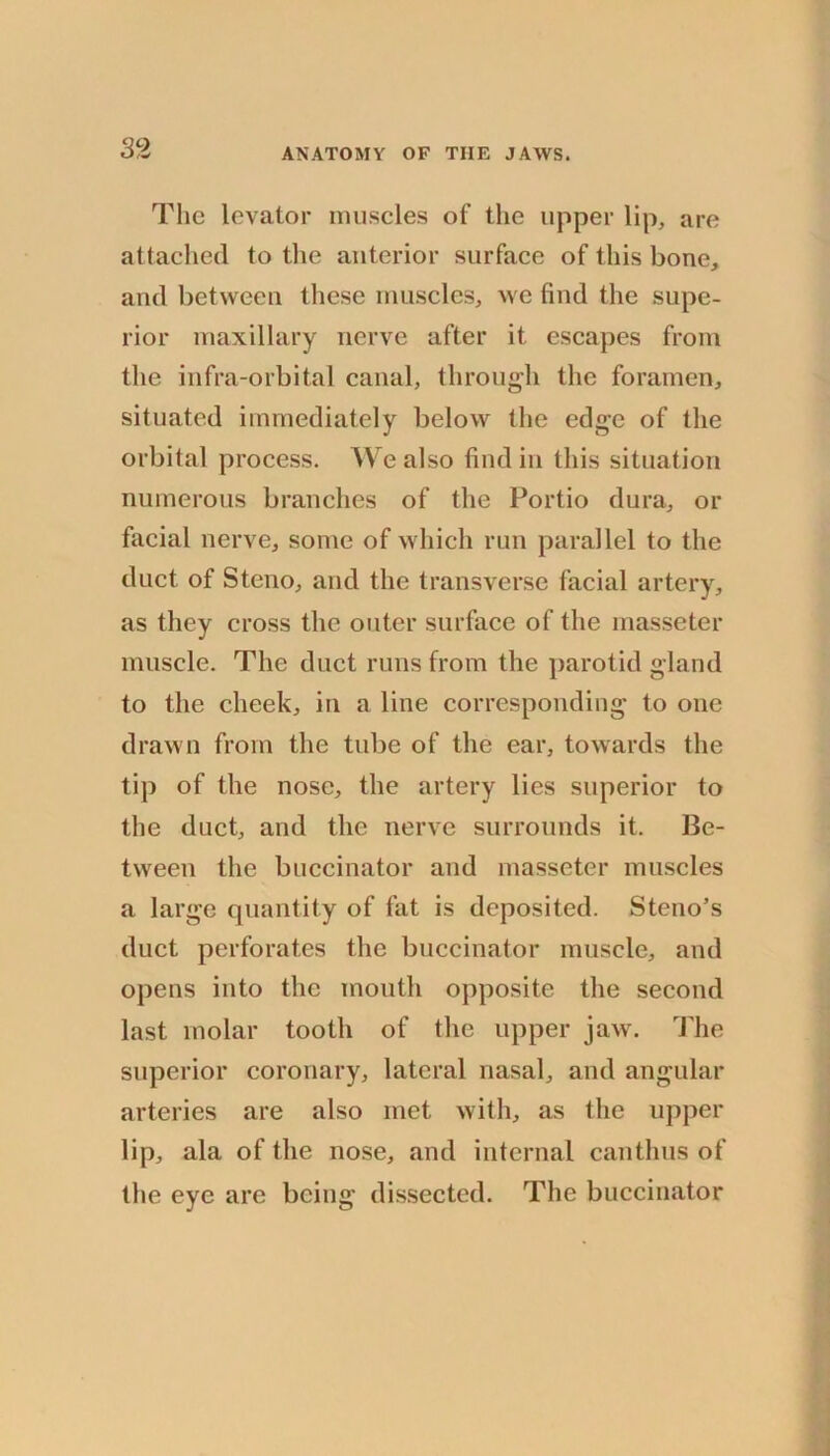 The levator imiscles of the upper lip, are attached to tlie anterior surface of this bone, and between these muscles, we find the supe- rior maxillary nerve after it escapes from the infra-orbital canal, through the foramen, situated immediately below the edge of the orbital process. We also find in this situation numerous branches of the Portio dura, or facial nerve, some of which run parallel to the duct of Steno, and the transverse facial artery, as they cross the outer surface of the masseter muscle. The duct runs from the parotid gland to the cheek, in a line corresponding to one drawn from the tube of the ear, towards the tip of the nose, the artery lies superior to the duct, and the nerve surrounds it. Be- tween the buccinator and masseter muscles a large quantity of fat is deposited. Steno’s duct perforates the buccinator muscle, and opens into the month opposite the second last molar tooth of the upper jaw. The superior coronary, lateral nasal, and angular arteries are also met with, as the upper lip, ala of the nose, and internal canthns of the eye are being dissected. The buccinator