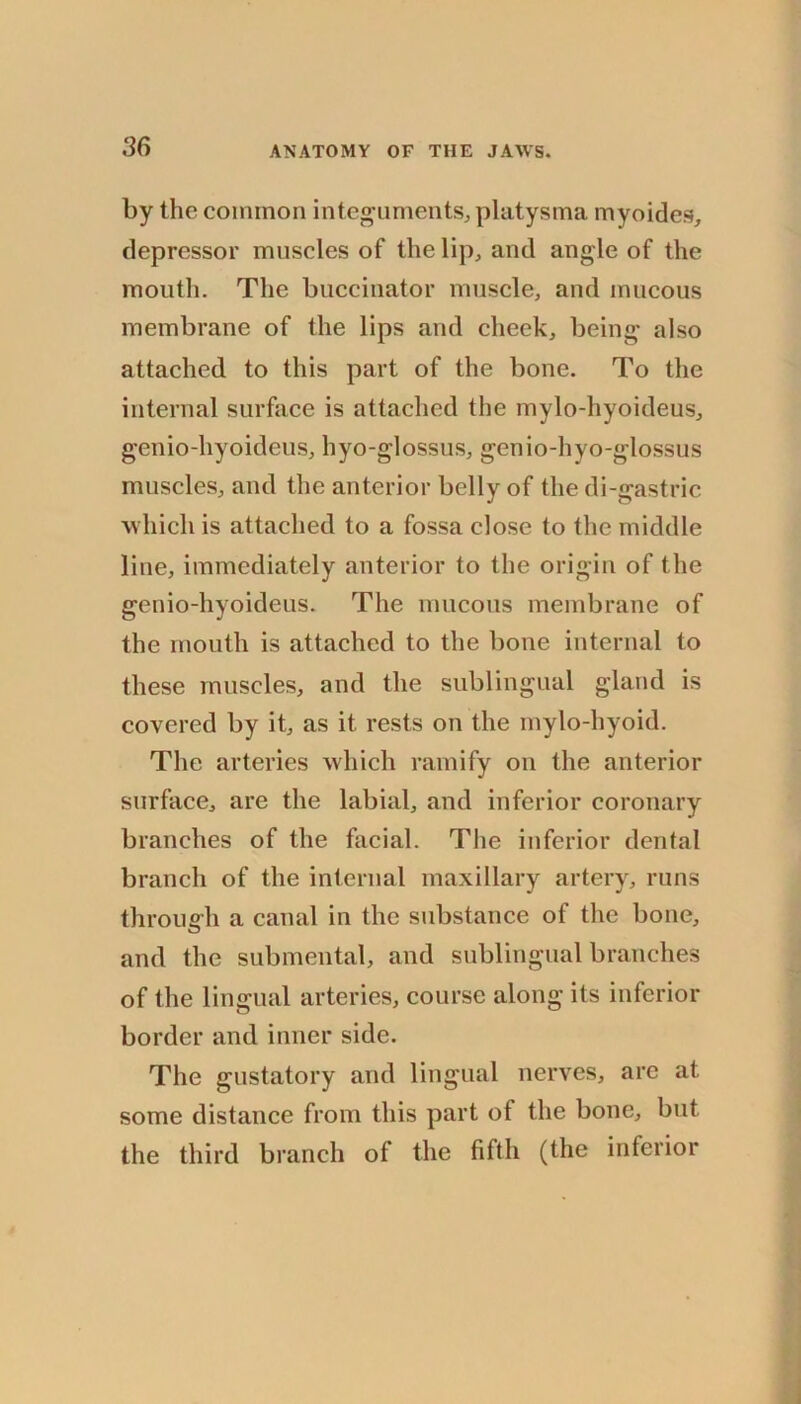 by the common integuments^ platysma myoides, depressor muscles of thelipj and angle of the mouth. The buccinator muscle, and mucous membrane of the lips and cheek, being also attached to this part of the bone. To the internal surface is attached the mylo-hyoideus, genio-hyoideus, hyo-glossus, genio-hyo-glossus muscles, and the anterior belly of the di-gastric which is attached to a fossa close to the middle line, immediately anterior to the origin of the genio-hyoideus. The mucous membrane of the mouth is attached to the bone internal to these muscles, and the sublingual gland is covered by it, as it rests on the mylo-hyoid. The arteries which ramify on the anterior surface, are the labial, and inferior coronary branches of the facial. The inferior dental branch of the internal maxillary artery, runs through a canal in the substance of the bone, and the submental, and sublingual branches of the lingual arteries, course along its inferior border and inner side. The gustatory and lingual nerves, are at some distance from this part of the bone, but the third branch of the fifth (the inferior