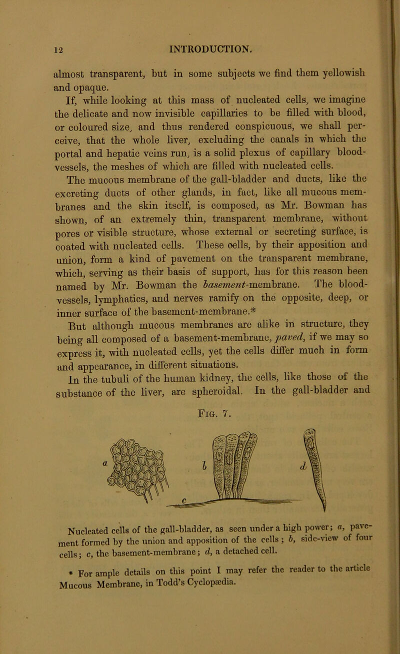 almost transparent, but in some subjects we find them yellowish and opaque. If, while looking at this mass of nucleated cells, we imagine the delicate and now invisible capillaries to be filled with blood, or coloured size, and thus rendered conspicuous, we shall per- ceive, that the whole liver, excluding the canals in which the portal and hepatic veins run, is a soUd plexus of capillary blood- vessels, the meshes of wliich are filled with nucleated cells. The mucous membrane of the gall-bladder and ducts, like the excreting ducts of other glands, in fact, like all mucous mem- branes and the skin itself, is composed, as Mr. Bowman has shown, of an extremely tliin, transparent membrane, without pores or visible structure, whose external or secreting surface, is coated with nucleated cells. These cells, by their apposition and union, form a kind of pavement on the transparent membrane, which, serving as their basis of support, has for this reason been named by Bowman the 5ase»«e«^-membrane. The blood- vessels, lymphatics, and nerves ramify on the opposite, deep, or inner surface of the basement-membrane.* But although mucous membranes are ahke in structure, they being aU composed of a basement-membrane, paved, if we may so express it, with nucleated cells, yet the cells differ much in form and appearance, in different situations. In the tubuli of the human kidney, the cells, like those of the substance of the liver, are spheroidal. In the gall-bladder and Fig. 7. Nucleated cells of the gall-bladder, as seen under a high power; a, pave- ment formed by the union and apposition of the cells ; b, side-view of four cells; c, the basement-membrane; d, a detached cell. • For ample details on this point I may refer the reader to the article Mucous Membrane, in Todd’s Cyclopaedia.