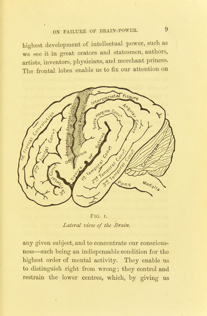 highest development of intellectual power, such as we see it in great orators and statesmen, authors, artists, inventors, physicians, and merchant princes. The frontal lobes enable us to fix our attention on Fig. I. Lateral view of the Brain. any given subject, and to concentrate our conscious- ness—such being an indispensable condition for the highest order of mental activity. They enable us to distinguish right from wrong; they control and restrain the lower centres, which, by giving us