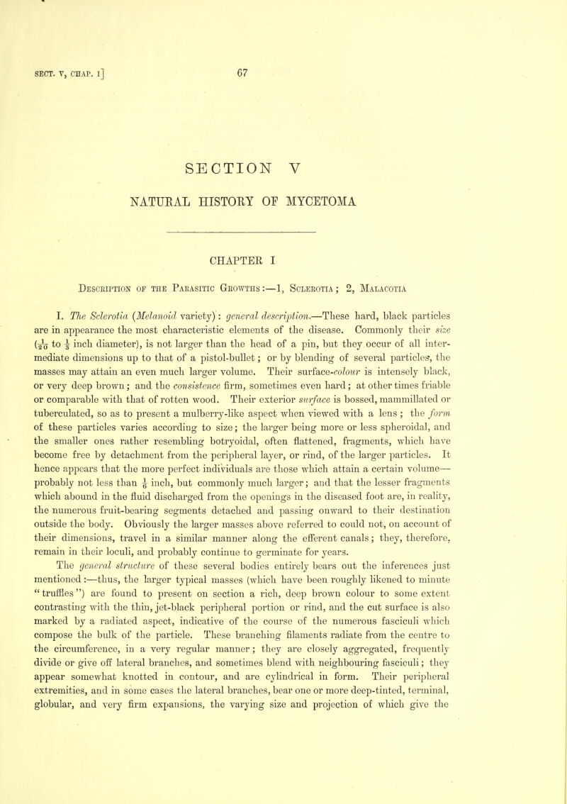 SECTION V NATUKAL HISTOUY OP MYCETOMA CHAPTER I Description of the Paeasitic Growths :—1, Scleeotia ; 2, Malacotia I. The Sderotia (Melanoid variety): general descrijjtion.—These hai'd, black particles are in appearance the most characteristic elements of the disease. Commonly their size (2^ to ¥ ^^cih diameter), is not larger than the head of a pin, but they occur of all inter- mediate dimensions up to that of a pistol-bullet; or by blending of several particles^, the masses may attain an even much larger volume. Their surface-coZow is intensely black, or very deep brown; and the consistence firm, sometimes even hard; at other times friable or comparable with that of rotten wood. Their exterior surface is bossed, mammillated or tuberculated, so as to present a mulberry-like aspect when viewed with a lens ; the form of these particles varies according to size; the larger being more or less spheroidal, and the smaller ones rather resembling botryoidal, often flattened, fragments, which have become free by detachment from the peripheral layer, or rind, of the larger particles. It hence appears that the more perfect individuals are those which attain a certain volume— probably not less than ^ inch, but commonly much larger; and that the lesser fragments which abound in the fluid discharged from the openings in the diseased foot are, in reality, the numerous fruit-bearing segments detached and passing onward to their destination outside the body. Obviously the larger masses above referred to could not, on account of their dimensions, travel in a similar manner along the efierent canals; they, therefore, remain in their loculi, and probably continue to germinate for years. The general structure of these several bodies entirely bears out the inferences just mentioned:—thus, the larger typical masses (which have been roughly likened to minute  trufiles ) are found to present on section a rich, deep brown colour to some extent contrasting with the thin, jet-black peripheral portion or rind, and the cut surface is also marked by a radiated aspect, indicative of the course of the numerous fasciculi which compose the bulk of the particle. These branching filaments radiate from the centre to the circumference, in a very regular manner; they are closely aggregated, frequently divide or give off lateral branches, and sometimes blend with neighbouring fasciculi; they appear somewhat knotted in contour, and are cylindrical in form. Their peripheral extremities, and in some cases the lateral branches, bear one or more deep-tinted, terminal, globular, and very firm expansions, the varying size and projection of which give the