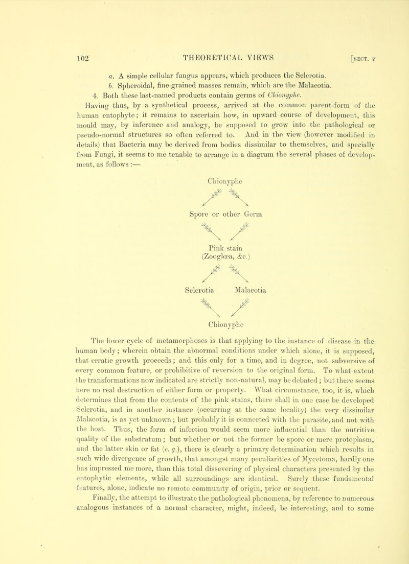 a. A simple cellular fungus appears, wliicli produces the Sclerotia. h. Spheroidal, fine-grained masses remain, whicli are the Malacotia. 4. Both these last-named products contain germs of Chionyplie. Having thus, by a synthetical process, arrived at the common parent-form of the human entophyte; it remains to ascertain how, in upward course of development, this mould may, by inference and analogy, be supposed to grow into the pathological or pseudo-normal structures so often referred to. And in the view (however modified in details) that Bacteria may be derived from bodies dissimilar to themselves, and specially from Fungi, it seems to me tenable to arrange in a diagram the several phases of develop- ment, as follows:— Chionyphe Spore or other Germ Pink stain (Zoogloea, &c.) Sclerotia Malacotia Chionyphe The lower cycle of metamorphoses is that applying to the instance of disease in the human body; wherein obtain the abnormal conditions under which alone, it is supposed, that erratic growth proceeds; and this only for a time, and in degree, not subversive of every common feature, or prohibitive of reversion to the original form. To what extent the transformations now indicated are strictly non-natural, may be debated ; but there seems here no real destruction of either form or property. What circumstance, too, it is, which determines that from the contents of the pink stains, there shall in one case be developed Sclerotia, and in another instance (occurring at the same locality) the very dissimilar Malacotia, is as yet unknown; but probably it is connected with the parasite, and not with the host. Thus, the form of infection would seem more influential than the nutritive quality of the substratum; but whether or not the former be spore or mere protoplasm, and the latter skin or fat (e. g.), there is clearly a primary determination which results in such wide divergence of growth, that amongst many peculiarities of Mj'-cetoma, hardly one has impressed me more, than this total dissevering of physical characters presented by the entophytic elements, while all surroundings are identical. Surely these fundamental features, alone, indicate no remote community of origin, prior or sequent. Finally, the attempt to illustrate the pathological phenomena, by reference to numerous analogous instances of a normal character, might, indeed, be interesting, and to some