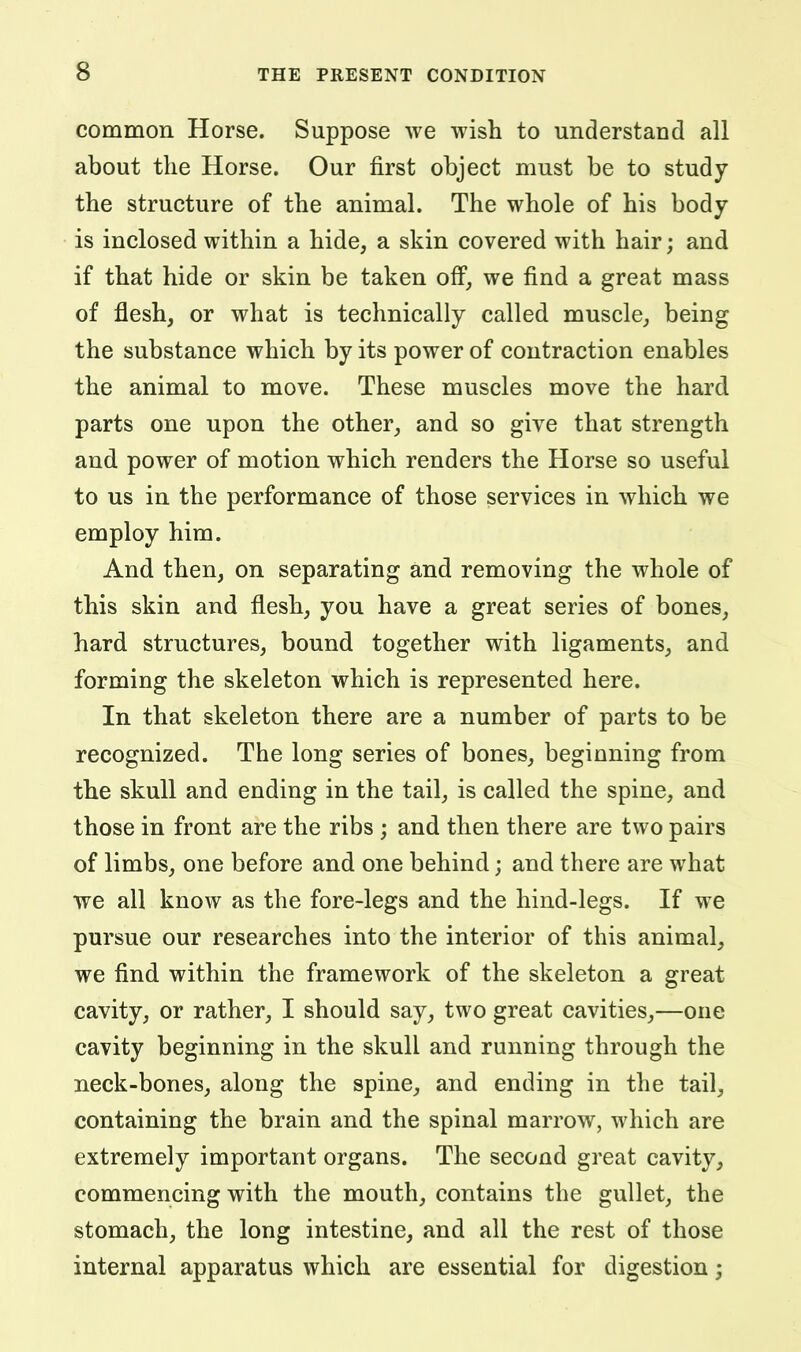 common Horse. Suppose we wish to understand all about the Horse. Our first object must be to study the structure of the animal. The whole of his body is inclosed within a hide, a skin covered with hair; and if that hide or skin be taken off, we find a great mass of flesh, or what is technically called muscle, being the substance which by its power of contraction enables the animal to move. These muscles move the hard parts one upon the other, and so give that strength and power of motion which renders the Horse so useful to us in the performance of those services in which we employ him. And then, on separating and removing the whole of this skin and flesh, you have a great series of bones, hard structures, bound together with ligaments, and forming the skeleton which is represented here. In that skeleton there are a number of parts to be recognized. The long series of bones, beginning from the skull and ending in the tail, is called the spine, and those in front are the ribs ; and then there are two pairs of limbs, one before and one behind; and there are what we all know as the fore-legs and the hind-legs. If we pursue our researches into the interior of this animal, we find within the framework of the skeleton a great cavity, or rather, I should say, two great cavities,—one cavity beginning in the skull and running through the neck-bones, along the spine, and ending in the tail, containing the brain and the spinal marrow, which are extremely important organs. The second great cavity, commencing with the mouth, contains the gullet, the stomach, the long intestine, and all the rest of those internal apparatus which are essential for digestion;