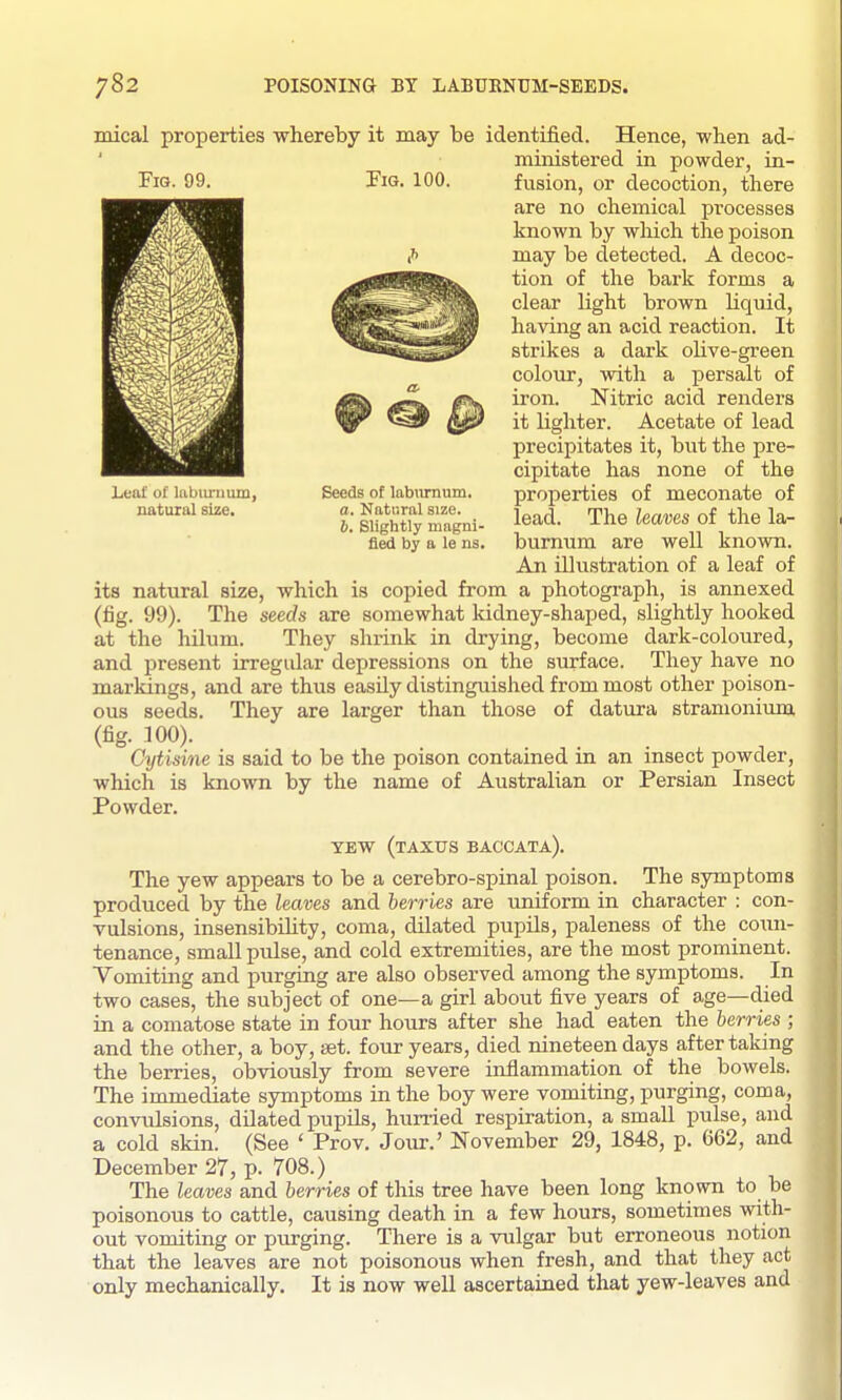 mical properties whereby it may be identified. Hence, when ad- ministered in powder, in- FiG. 99. Fig. 100. Leaf of Uibiu-uum, natural size. Seeds of labiirnum. o. Natural size. 6. Slightly magni- flSi by a le ns. fusion, or decoction, there are no cliemical processes known by which the poison may be detected. A decoc- tion of the bark forms a clear light brown liquid, having an acid reaction. It strikes a dark olive-green colour, with a persalt of iron. Nitric acid renders it lighter. Acetate of lead precipitates it, but the pre- cipitate has none of the properties of meconate of lead. The leaves of the la- burnum are well known. An illustration of a leaf of its natural size, which is copied from a photograph, is annexed (fig. 99). The seeds are somewhat kidney-shaped, slightly hooked at the hilum. They shrink in drying, become dark-coloured, and present irregidar depressions on the surface. They have no markings, and are thus easily distinguished from most other poison- ous seeds. They are larger than those of datura stramonium (fig. 100). Cytisine is said to be the poison contained in an insect powder, which is known by the name of Australian or Persian Insect Powder. TEW (tAXTTS BACCATA). The yew appears to be a cerebro-spinal poison. The symptoms produced by the leaves and berries are uniform in character : con- vulsions, insensibihty, coma, dilated pupils, paleness of the coun- tenance, small pulse, and cold extremities, are the most prominent. Vomiting and purging are also observed among the symptoms. In two cases, the subject of one—a girl about five years of age—died in a comatose state in four hours after she had eaten the berries ; and the other, a boy, set. four years, died nineteen days after taking the berries, obviously from severe inflammation of the bowels. The immediate symptoms in the boy were vomiting, purging, coma, convulsions, dilated pupils, hurried respiration, a small pulse, and a cold skin. (See ' Prov. Jour.' November 29, 1848, p. 662, and December 27, p. 708.) The leaves and berries of this tree have been long known to be poisonous to cattle, causing death in a few hours, sometimes with- out vomiting or purging. There is a vulgar but erroneous notion that the leaves are not poisonous when fresh, and that they act only mechanically. It is now well ascertained that yew-leaves and