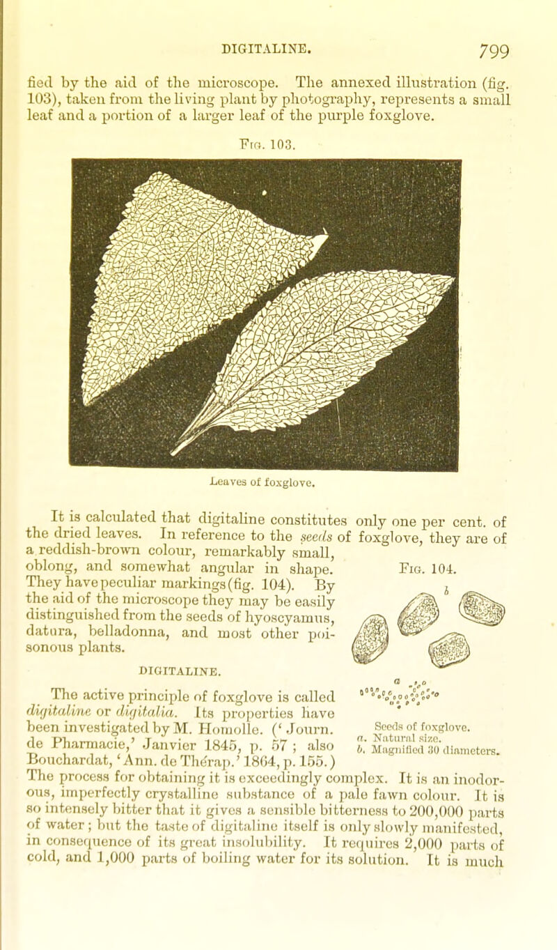 Fig. 104. It IS calculated that digitaline constitutes only one per cent, of the dried leaves. In reference to the seeds of foxglove, they are of a reddish-brow-n colour, remarkably .small, oblong, and somewhat angular in shape. They have peculiar markings (fig. 104). By the aid of the microscope they may be easily distinguished from the seeds of hyoscyamus, datura, belladonna, and most other poi- sonous plants. DIGITALINE. The active principle of foxglove is called dif/it,aUne or difjUcdia. Its properties have been investigated by M. HomoUe. (' .Journ. de Pharmacie,' .Janvier 184.5, p. 57 ; also Bouchardat,' Ann. de The'rap.' 18G4, p. 155.) The process for obtaining it is exceedingly complex. It is an inodor- ou.s, imperfectly crystalline substance of a pale fawn colour. It is so intensely bitter that it gives a sensible bitterness to 200,000 parts of water ; but the taste of digitaline itself is only slowly manifested in consequence of its great insolubility. It rerpiires 2,000 parts of cold, and 1,000 parts of boiUng water for its solution. It is much Soods of foxglove Natural sizn. Magnified 30 dinmeters.