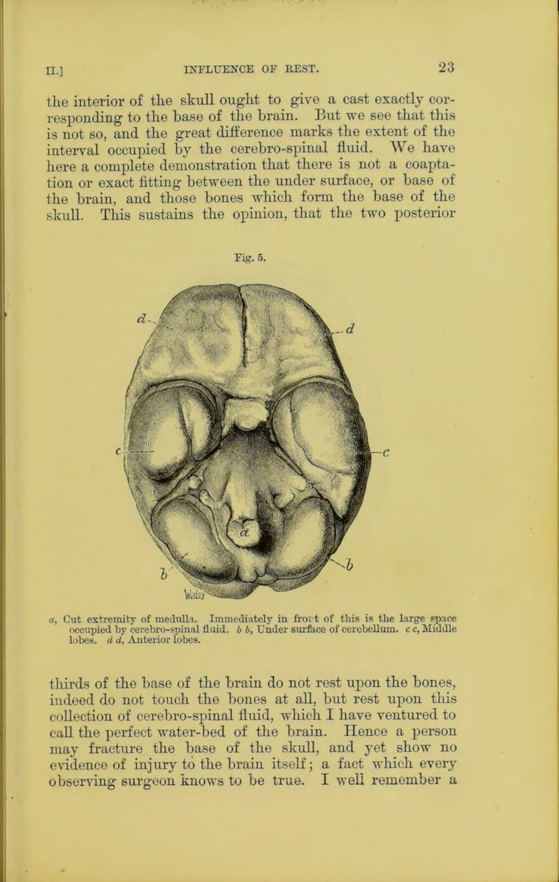 rr.] the interior of the skull ought to give a cast exactly cor- responding to the base of the brain. But we see that this is not so, and the great difference marks the extent of the interval occupied by the cerebro-spinal fluid. We have here a complete demonstration that there is not a coapta- tion or exact fitting between the under surface, or base of the brain, and those bones which form the base of the skull. This sustains the opinion, that the two posterior Fig. 5. a, Cut extremity of medulla. Immediately in frort of this is the large space occupied by cerebro-spinal fluid, b b, Under surface of cerebellum, c c, Middle lobes, d d, Anterior lobes. thirds of the base of the brain do not rest upon the bones, indeed do not touch the bones at all, but rest upon this collection of cerebro-spinal fluid, wliich I have ventured to call the perfect water-bed of the brain. Hence a person may fracture the base of the skull, and yet show no evidence of injury to the brain itself; a fact which every observing surgeon knows to be true. I well remember a