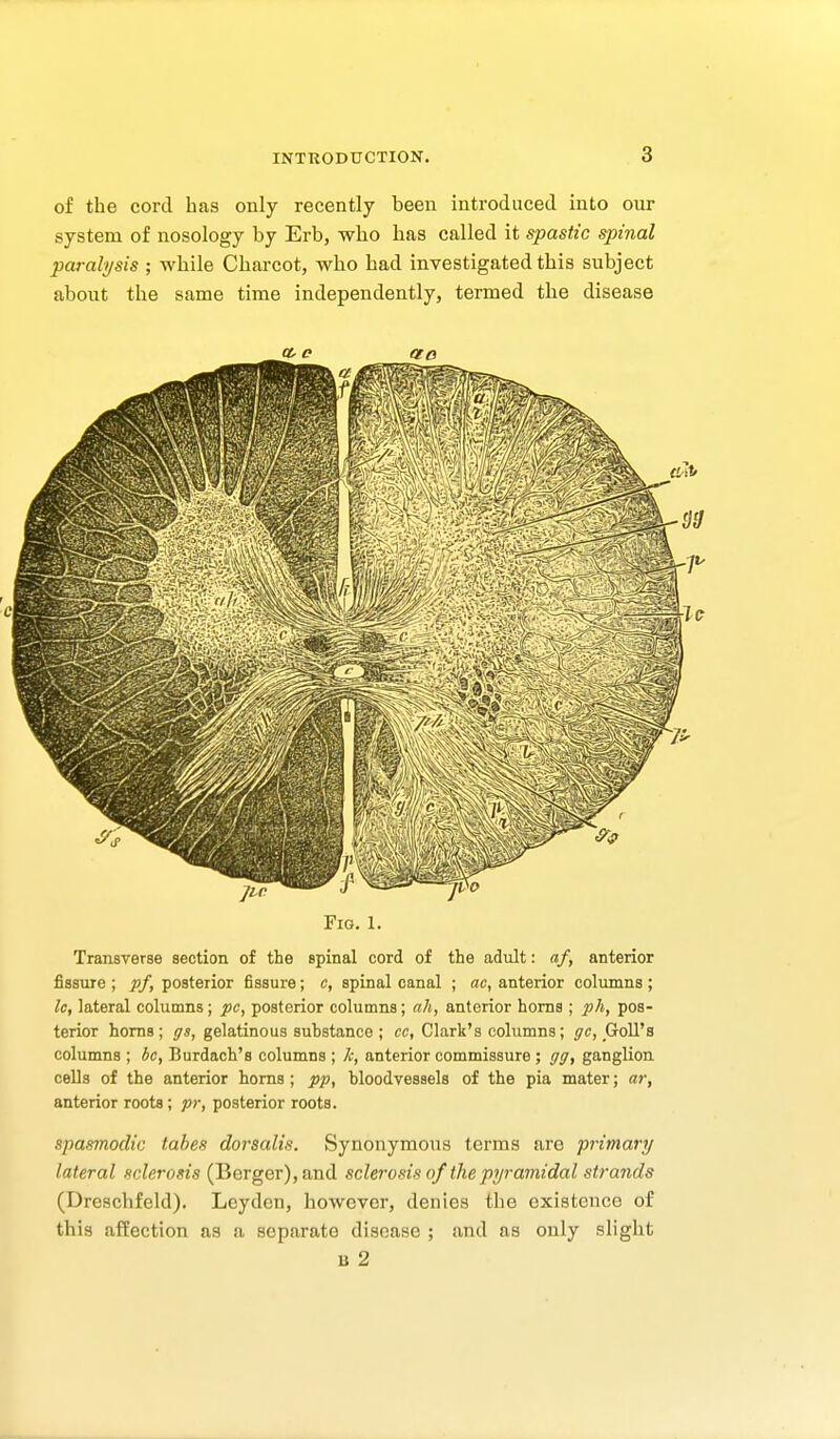 of the cord has only recently been introduced into our system of nosology by Erb, who has called it spastic spinal pM-alysis ; while Charcot, who had investigated this subject about the same time independently, termed the disease Fig. 1. Transverse section of the spinal cord of the adult: n/, anterior fissure ; pf, posterior fissure; c, spinal canal ; ac, anterior columns ; Ic, lateral columns; pc, posterior columns; ah, anterior horns ; ph, pos- terior horns; i?*, gelatinous substance ; cc, Clark's columns; i/c, Goll's columns ; he, Burdach's columns ; h, anterior commissure; gg, ganglion cells of the anterior horns ; pp, bloodvessels of the pia mater; m\ anterior roots; pr, posterior roots. spasmodic tabes dorsalis. Synonymous terms are primary lateral sclerosis (Berger),and sclerosis of the pyramidal strands (Dreschfeld). Leyden, however, denies the existence of this affection as a separate disease ; and as only slight B 2