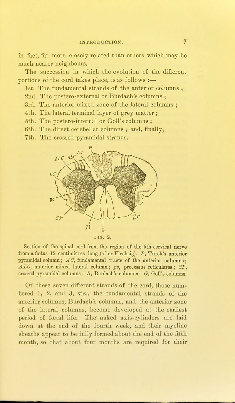 in fact, far more closely related than others wMcli may be much nearer neighbours. The succession in which the evolution of the different portions of the cord takes place, is as follows :— 1st. The fundamental strands of the anterior columns ; 2nd. The postero-external or Burdach's columns ; 3rd. The anterior mixed zone of the lateral columns ; 4th. The lateral terminal layer of grey matter ; 5th. The postero-internal or Goll's columns ; 6th. The direct cerebellar columns ; and, finally, 7th. The crossed pyramidal strands. p Fig. 2. Section of the spinal cord from the region of the 6th cervical nerve from afoatus 12 centimetres long (after Flechsig). F, Tiirck's anterior pyramidal column; A C, fundamental tracts of the anterior columns; ALG, anterior mixed lateral column; pc, processus reticulares; CP, crossed pyramidal columns ; B, Burdach's columns; G, Goll's columns. Of these seven different strands of the cord, those num- bered 1, 2, and 3, viz., the fundamental strands of the anterior columns, Burdach's columns, and the anterior zone of the lateral columns, become developed at the earliest period of fcetal life. The naked axis-cylinders are laid down at the end of the fourth week, and their myeline sheatbs appear to be fully formed about the end of the fifth month, so that about four months are required for their