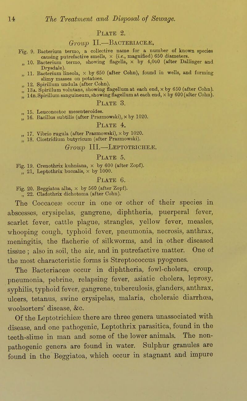 Plate 2. Group II.—Bacteeiace^. Fig. 9. Bacterium termo, a collective name for a number of known species causing putrefactive smells, x (i.e., magnified) 650 diameters. „ 10. Bacterium termo, showing flagella, x by 4,OoO (after Dallinger and Drysdale). „ 11. Bacterium lineola, x by 650 (after Cohn), found in wells, and forming slimy masses on potatoes. „ 12. Spirillum undula (after Cohn). „ 13a. Spirillum volutans, showing flagellumat each end, x by 650 (after Cohn). , 14b. Spirillum sanguineum, showing flagellum at each end, x by 600 (after Cohn). Plate 3. „ 15. Leuconostoc mesenteroides. „ 16. Bacillus subtilis (after Prazmowski), x by 1020. Plate 4. „ 17. Vibrio rugula (after Prazmowski), x by 1020. „ 18. Clostridium butyricum (after Prazmowski). Group III.—LEPTOTEICHEiE. Plate 5. Fig. 19. Crenothrix kuhniana, x by 600 (after Zopf). „ 21. Leptothrix buccalis, x by 1000. Plate 6. Fig. 20. Beggiatoa alba, x by 560 (after Zopf). „ 22. Cladothrix dichotoma (after Cohn). The Coccacese occur in one or other of their species in abscesses, erysipelas, gangrene, diphtheria, puerperal fever, scarlet fever, cattle plague, strangles, 3^ellow fever, measles, whooping cough, typhoid fever, pneumonia, necrosis, anthrax, meningitis, the flacherie of silkworms, and in other diseased tissue ; also in soil, the air, and in putrefactive matter. One of the most characteristic forms is Streptococcus pyogenes. The Bacteriacese occur in diphtheria, fowl-cholera, croup, pneumonia, pebrine, relapsing fever, asiatic cholera, leprosy, syphilis, typhoid fever, gangrene, tuberculosis, glanders, anthrax, ulcers, tetanus, swine erysipelas, malaria, choleraic diarrhoea, woolsorters' disease, &c. Of the Leptotrichiese there are three genera unassociated with disease, and one pathogenic, Leptothrix parasitica, found in the teeth-slime in man and some of the lower animals. The non- pathogenic genera are found in water. Sulphur granules are found in the Beggiatoa, which occur in stagnant and impure