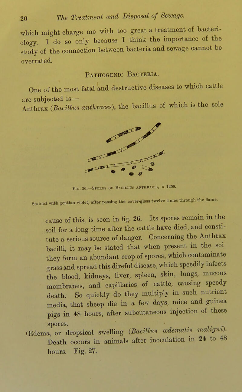 which might charge me with too great a treatment of bacteri- ology. I do so only because I think the importance of the study of the connection between bacteria and sewage cannot be overrated. Pathogenic Bacteria. One of the most fatal and destructive diseases to which cattle are subjected is— Anthrax {Bacillus anthraces), the bacillus of which is the sole Fio. 26.—Spores of Bacillus anthbacis, X 1200. Stained with gentian-violet, after passing the cover-glass twelve times through the flame. cause of this, is seen in fig. 26. Its spores remain in the soil for a long time after the cattle have died, and consti- tute a serious source of danger. Concerning the Anthrax bacilli, it may be stated that when present in the soi they form an abundant crop of spores, which contaminate grass and spread this direful disease, which speedily infects the blood, kidneys, liver, spleen, skin, lungs, mucous membranes, and capillaries of cattle, causing speedy death. So quickly do they multiply in such nutrient media, that sheep die in a few days, mice and guinea pigs in 48 hours, after subcutaneous injection of these spores. • . T •\ CEdema, or dropsical swelling (Bacillus oedematis mahgm). Death occurs in animals after inoculation in 24 to 48 hours. Fig. 27.