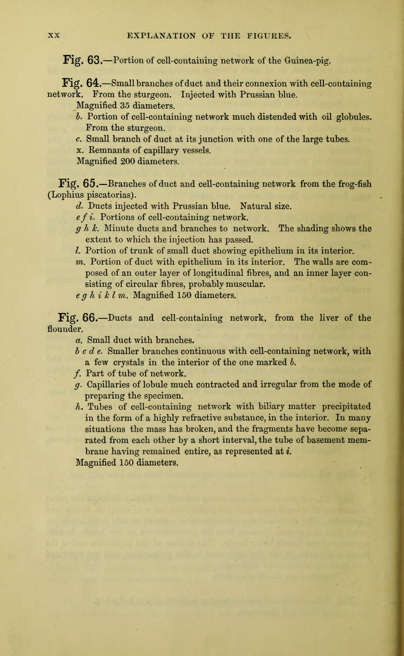 Fig. 63 .—Portion of cell-containing network of the Guinea-pig. Fig. 64 .—Small branches of duct and their connexion with cell-containing network. From the sturgeon. Injected with Prussian blue. Magnified 35 diameters. 1. Portion of cell-containing network much distended with oil globules. From the sturgeon. c. Small branch of duct at its junction with one of the large tubes. X. Remnants of capillary vessels. Magnified 200 diameters. Fig. 65.—Branches of duct and cell-containing network from the frog-fish (Lophius piscatorias). d. Ducts injected with Prussian blue. Natural size. efi. Portions of cell-containing network. g hlc. Minute ducts and branches to network. The shading shows the extent to which the injection has passed. l. Portion of trunk of small duct showing epithelium in its interior. m. Portion of duct with epithelium in its interior. The walls are com- posed of an outer layer of longitudinal fibres, and an inner layer con- sisting of circular fibres, probably muscular. e g h i k I m. Magnified 150 diameters. Fig. 66 .—Ducts and cell-containing network, from the liver of the flounder. a. Small duct with branches. h c d e. Smaller branches continuous with ceU-containing network, with a few crystals in the interior of the one marked h. f. Part of tube of network. g. Capillaries of lobule much contracted and irregular from the mode of preparing the specimen. h. Tubes of cell-containing network with biliary matter precipitated in the form of a highly refractive substance, in the interior. In many situations the mass has broken, and the fragments have become sepa- rated from each other by a short interval, the tube of basement mem- brane having remained entire, as represented at i.