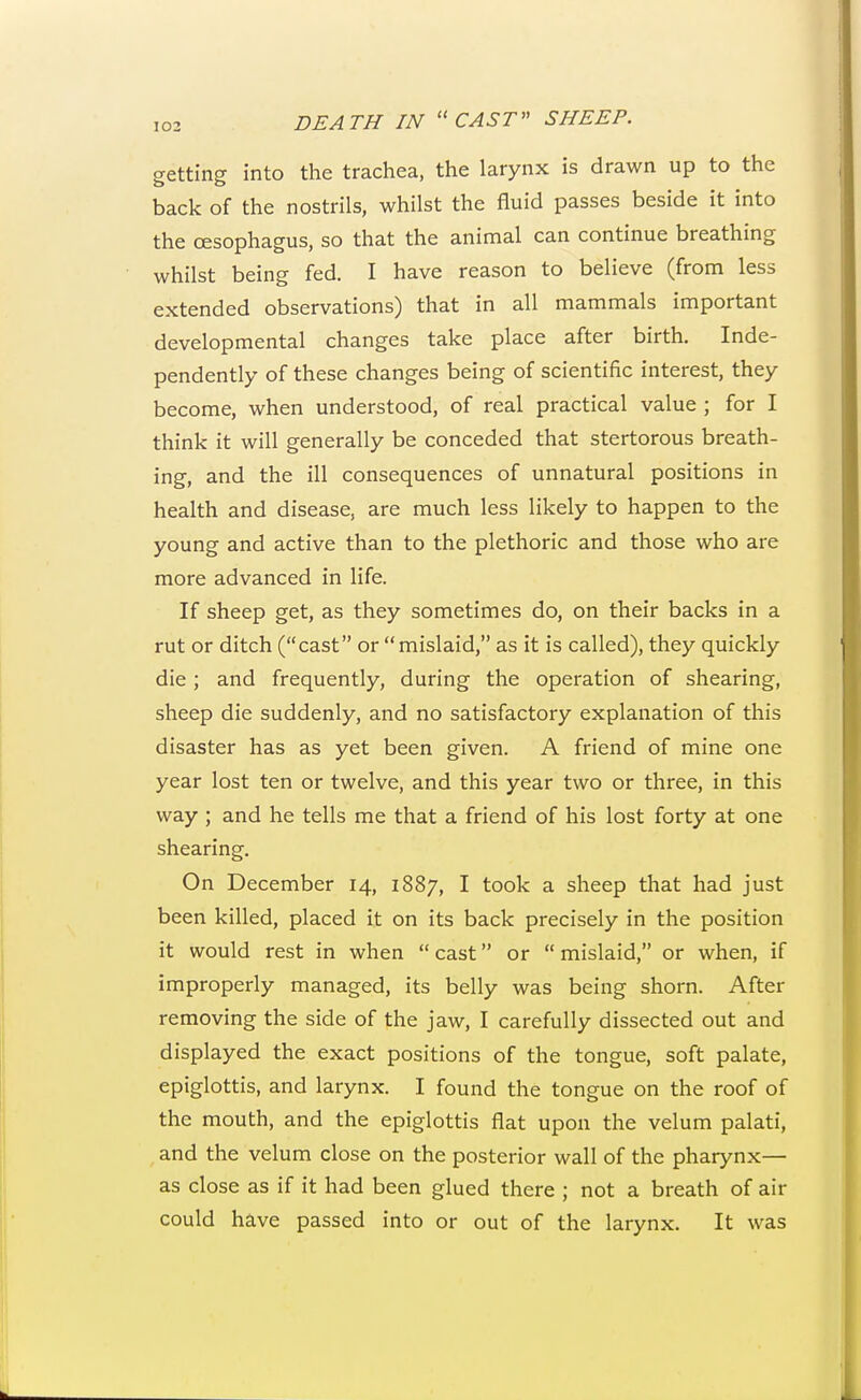 getting into the trachea, the larynx is drawn up to the back of the nostrils, whilst the fluid passes beside it into the oesophagus, so that the animal can continue breathing whilst being fed. I have reason to believe (from less extended observations) that in all mammals important developmental changes take place after birth. Inde- pendently of these changes being of scientific interest, they become, when understood, of real practical value ; for I think it will generally be conceded that stertorous breath- ing, and the ill consequences of unnatural positions in health and disease, are much less likely to happen to the young and active than to the plethoric and those who are more advanced in life. If sheep get, as they sometimes do, on their backs in a rut or ditch (cast or mislaid, as it is called), they quickly die; and frequently, during the operation of shearing, sheep die suddenly, and no satisfactory explanation of this disaster has as yet been given. A friend of mine one year lost ten or twelve, and this year two or three, in this way ; and he tells me that a friend of his lost forty at one shearing. On December 14, 1887, I took a sheep that had just been killed, placed it on its back precisely in the position it would rest in when  cast or  mislaid, or when, if improperly managed, its belly was being shorn. After removing the side of the jaw, I carefully dissected out and displayed the exact positions of the tongue, soft palate, epiglottis, and larynx. I found the tongue on the roof of the mouth, and the epiglottis flat upon the velum palati, and the velum close on the posterior wall of the pharynx— as close as if it had been glued there ; not a breath of air could have passed into or out of the larynx. It was