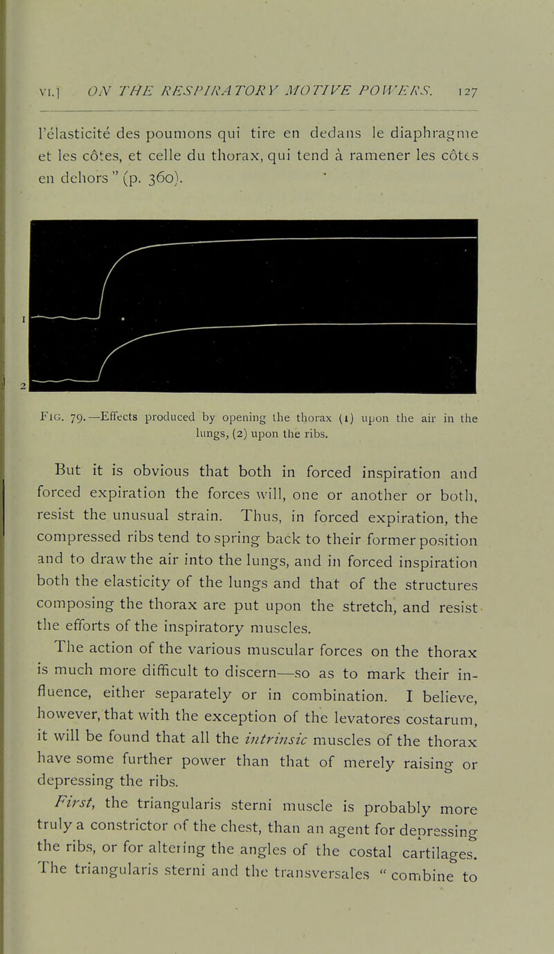 I'elasticite des pounions qui tire en dedans le diaphragnie et les cdtes, et celle du thorax, qui tend a ramener les cotts en dehors  (p. 360). Fig. 79.—Effects produced by opening the thorax (1) upon the air in the lungs, (2) upon the ribs. But it is obvious that both in forced inspiration and forced expiration the forces will, one or another or both, resist the unusual strain. Thus, in forced expiration, the compressed ribs tend to spring back to their former position and to draw the air into the lungs, and in forced inspiration both the elasticity of the lungs and that of the structures composing the thorax are put upon the stretch, and resist the efforts of the inspiratory muscles. The action of the various muscular forces on the thorax is much more difficult to discern—so as to mark their in- fluence, either separately or in combination. I believe, however, that with the exception of the levatores costarum, it will be found that all the intrinsic muscles of the thorax have some further power than that of merely raising or depressing the ribs. First, the triangularis sterni muscle is probably more truly a constrictor of the chest, than an agent for depressing the ribs, or for altering the angles of the costal cartilages'! The triangularis sterni and the transversales  combine to