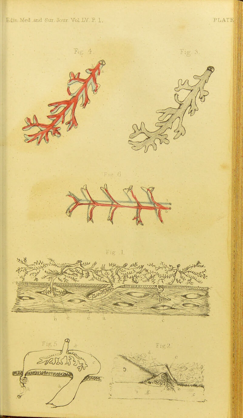 1' liii Mefl .and Sin-. Jour Vol JjV. P, 1. PtiAT