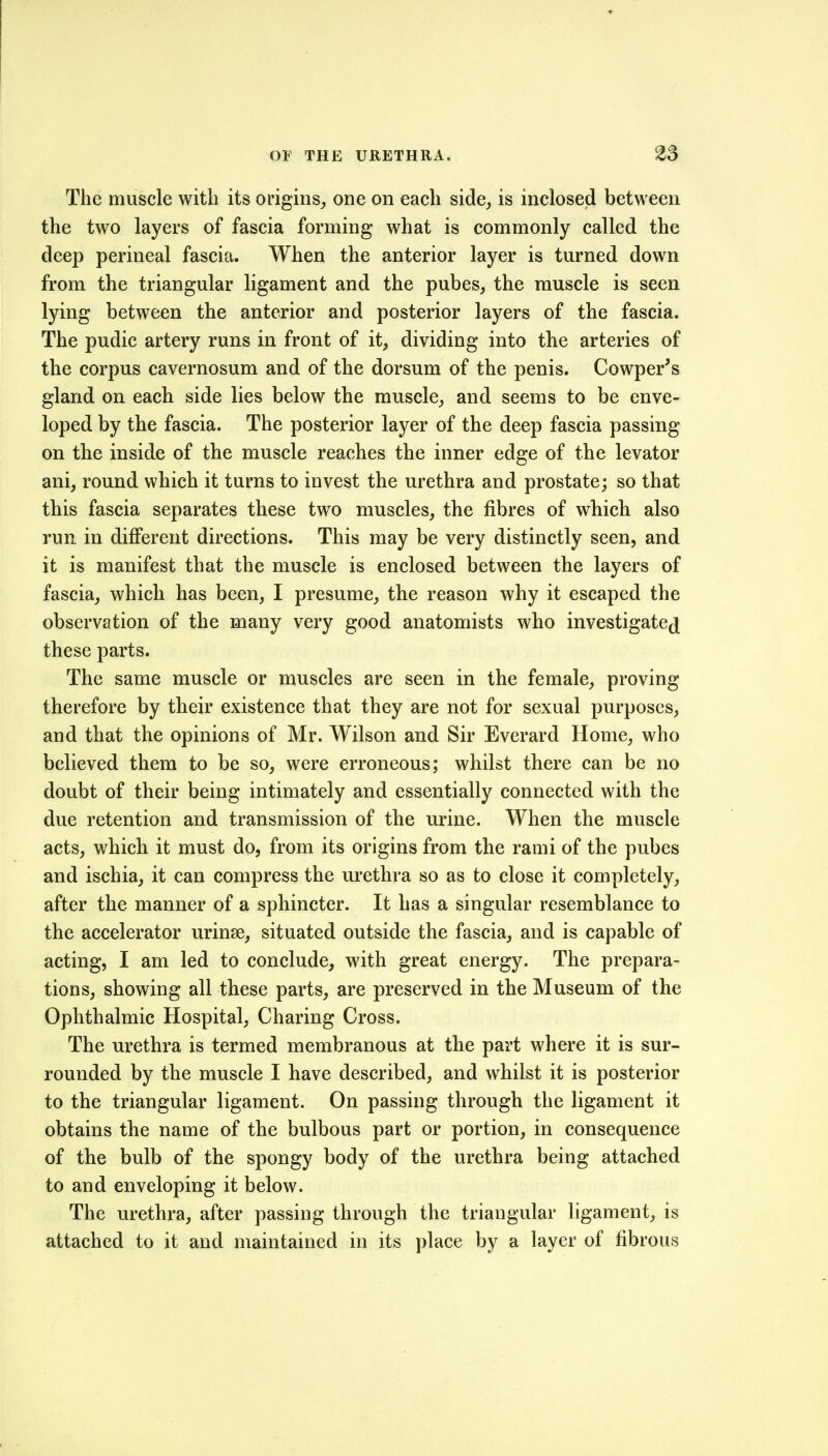 OF THE URETHRA. The muscle with its origins^ one on each side^ is inclosed between the two layers of fascia forming what is commonly called the deep perineal fascia. When the anterior layer is turned down from the triangular ligament and the pubes, the muscle is seen lying between the anterior and posterior layers of the fascia. The pudic artery runs in front of it, dividing into the arteries of the corpus cavernosum and of the dorsum of the penis. Cowper's gland on each side lies below the muscle, and seems to be enve- loped by the fascia. The posterior layer of the deep fascia passing on the inside of the muscle reaches the inner edge of the levator ani, round which it turns to invest the urethra and prostate; so that this fascia separates these two muscles, the fibres of which also run in different directions. This may be very distinctly seen, and it is manifest that the muscle is enclosed between the layers of fascia, which has been, I presume, the reason why it escaped the observation of the many very good anatomists who investigate(j these parts. The same muscle or muscles are seen in the female, proving therefore by their existence that they are not for sexual purposes, and that the opinions of Mr. Wilson and Sir Everard Home, who believed them to be so, were erroneous; whilst there can be no doubt of their being intimately and essentially connected with the due retention and transmission of the urine. When the muscle acts, which it must do, from its origins from the rami of the pubes and ischia, it can compress the urethra so as to close it completely, after the manner of a sphincter. It has a singular resemblance to the accelerator urinse, situated outside the fascia, and is capable of acting, I am led to conclude, with great energy. The prepara- tions, showing all these parts, are preserved in the Museum of the Ophthalmic Hospital, Charing Cross. The urethra is termed membranous at the part where it is sur- rounded by the muscle I have described, and whilst it is posterior to the triangular ligament. On passing through the ligament it obtains the name of the bulbous part or portion, in consequence of the bulb of the spongy body of the urethra being attached to and enveloping it below. The urethra, after passing through the triangular ligament, is attached to it and maintained in its place by a layer of fibrous