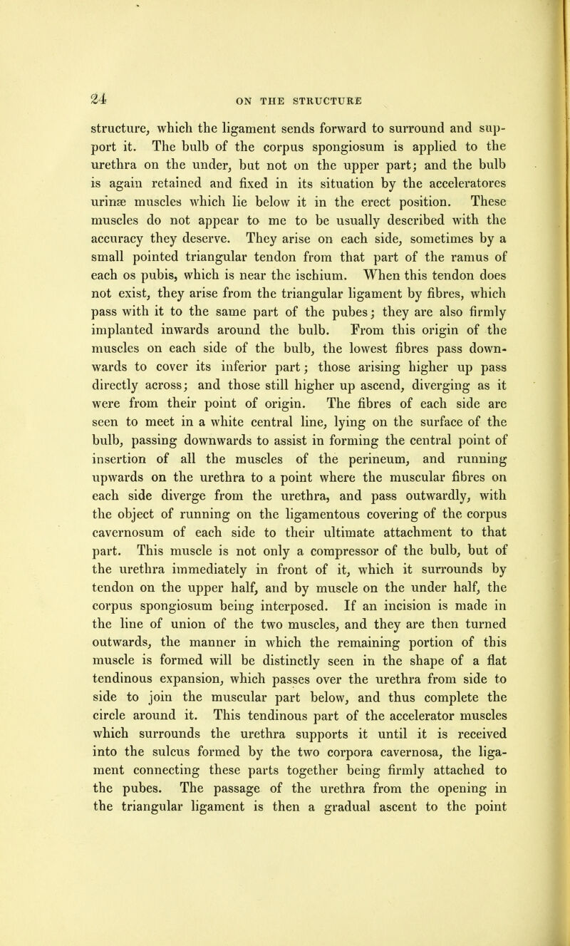 structure, whicli the ligament sends forward to surround and sup- port it. The bulb of the corpus spongiosum is applied to the urethra on the under, but not on the upper part; and the bulb is again retained and fixed in its situation by the acceleratores urinse muscles which lie below it in the erect position. These muscles do not appear to me to be usually described with the accuracy they deserve. They arise on each side, sometimes by a small pointed triangular tendon from that part of the ramus of each OS pubis, which is near the ischium. When this tendon does not exist, they arise from the triangular ligament by fibres, which pass with it to the same part of the pubes; they are also firmly implanted inwards around the bulb. From this origin of the muscles on each side of the bulb, the lowest fibres pass down- wards to cover its inferior part; those arising higher up pass directly across; and those still higher up ascend, diverging as it were from their point of origin. The fibres of each side are seen to meet in a white central line, lying on the surface of the bulb, passing downwards to assist in forming the central point of insertion of all the muscles of the perineum, and running upwards on the urethra to a point where the muscular fibres on each side diverge from the urethra, and pass outwardly, with the object of running on the ligamentous covering of the corpus cavernosum of each side to their ultimate attachment to that part. This muscle is not only a compressor of the bulb, but of the urethra immediately in front of it, which it surrounds by tendon on the upper half, and by muscle on the under half, the corpus spongiosum being interposed. If an incision is made in the line of union of the two muscles, and they are then turned outwards, the manner in which the remaining portion of this muscle is formed will be distinctly seen in the shape of a flat tendinous expansion, which passes over the urethra from side to side to join the muscular part below, and thus complete the circle around it. This tendinous part of the accelerator muscles which surrounds the urethra supports it until it is received into the sulcus formed by the two corpora cavernosa, the liga- ment connecting these parts together being firmly attached to the pubes. The passage of the urethra from the opening in the triangular ligament is then a gradual ascent to the point