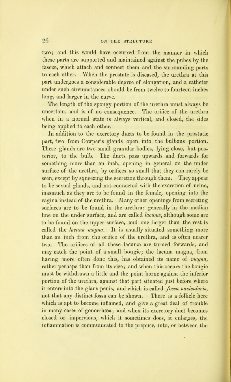 two; and this would have occurred from the manner in which these parts are supported and maintained against the pubes by the fascise^ which attach and connect them and the surrounding parts to each other. When the prostate is diseased, the urethra at this part undergoes a considerable degree of elongation, and a catheter under such circumstances should be from twelve to fourteen inches long, and larger in the curve. The length of the spongy portion of the urethra must always be uncertain, and is of no consequence. The orifice of the urethra when in a normal state is always vertical, and closed, the sides being applied to each other. In addition to the excretory ducts to be found in the prostatic part, two from Cowper's glands open into the bulbous portion. These glands are two small granular bodies, lying close, but pos- terior, to the bulb. The ducts pass upwards and forwards for something more than an inch, opening in general on the under surface of the urethra, by orifices so small that they can rarely be seen, except by squeezing the secretion through them. They appear to be sexual glands, and not connected with the excretion of urine, inasmuch as they are to be found in the female, opening into the vagina instead of the urethra. Many other openings from secreting surfaces are to be found in the urethra; generally in the median line on the under surface, and are called lacunce, although some are to be found on the upper surface, and one larger than the rest is called the lacuna magna. It is usually situated something more than an inch from the orifice of the urethra, and is often nearer two. The orifices of all these lacunae are turned forwards, and may catch the point of a small bougie; the lacuna magna, from having more often done this, has obtained its name of magna^ rather perhaps than from its size; and when this occurs the bougie must be withdrawn a little and the point borne against the inferior portion of the urethra, against that part situated just before where it enters into the glans penis, and which is called fossa navicularis, not that any distinct fossa can be shown. There is a follicle here which is apt to become inflamed, and give a great deal of trouble in many cases of gonorrhoea; and when its excretory duct becomes closed or impervious, which it sometimes does, it enlarges, the inflammation is communicated to the prepuce, into, or between the