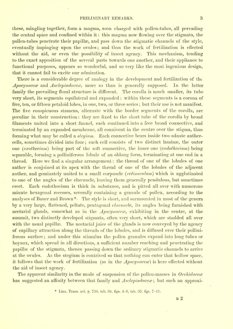 these, mingling together, form a magma, soon charged with pollen-tubes, all pervading the central space and confined within it: this magraa now flowing over the stigmata, the poilen-tuhes penetrate their papillae, and pass down the stigmatic channels of the style, eventually impinging upon the ovules; and thus the work of fertilization is effected without the aid, or even the possibility of insect agency. This mechanism, tending to the exact apposition of the several parts towards one another, and their appliance to functional purposes, appears so wonderful, and so very like the most ingenious design, that it cannot fail to excite our admiration. There is a considerable degree of analogy in the development and fertilization of tht Apocynacece and AsclepiadacecB, more so than is generally supposed. In the latter family the prevailing floral structure is difl'erent. The corolla is much smaller, its tube very short, its segments equilateral and expanded: within these segments is a corona of five, ten, or fifteen petaloid lobes, in one, two, or three series ; but their use is not manifest. The five conspicuous stamens, alternate with the border segments of the corolla, are peculiar in their construction: they are fixed to the short tube of the corolla by broad filaments united into a short funnel, each continued into a free broad connective, and terminated by an expanded membrane, all connivent in the centre over the stigma, thus forming what may be called a stegium. Each connective bears inside tAVo adnate anther- cells, sometimes divided into four; each cell consists of two distinct lamince, the outer one [exothecium) being part of the soft connective, tlie inner one [eiidothecium) being separable, forming a polliniferous lobule of an oblong form, terminating at one end in a thread. Here we find a sinarular arranc-ement: the thread of one of the lobules of one anther is conjoined at its apex with the thread of one of the lobules of the adjacent anther, and geminately united to a small corpuscle (retlimcuhim,) which is agglutinated to one of the angles of the clavuncle, leaving them generally pendulous, but sometimes erect. Each endotliecium is thick in substance, and is pitted all over with numerous minute hexagonal recesses, severally containing a granule of pollen, according to the analyses of Bauer and Brow^n*. The style is short, and surmounted in most of the genera by a very large, flattened, peltate, pentagonal clavuncle, its angles being furnished with nectarial glands, somew^hat as in the A^jocynacece, exhibiting in the centre, at the summit, two distinctly developed stigmata, often very short, which are studded all over with the usual papillae. The nectarial juice of the glands is now conveyed 1)y the agency of capillary attraction along the threads of the lobules, and is difi'used over their pollini- ferous surface; and under this stimulus the pollen granules expand into long tubes or boyaux, which spread in all directions, a sufiicient number reaching and penetrating the papillae of the stigmata, thence passing down the ordinary stigmatic channels to arrive at the ovules. As the stegium is contrived so that nothing can enter that hollow space, it follows that the work of fertilization (as in the Apocynacece) is here effected without the aid of insect agency. The apparent similarity in the mode of suspension of the pollen-masses in OrcliidacecB has suggested an aflinity between that family and AsclejJiadacece; but such an approxi- * Linn. Trans, xvi. p. 734, tab. 34. figs. 4-G, tab. 35. figs. 7-11. B 2