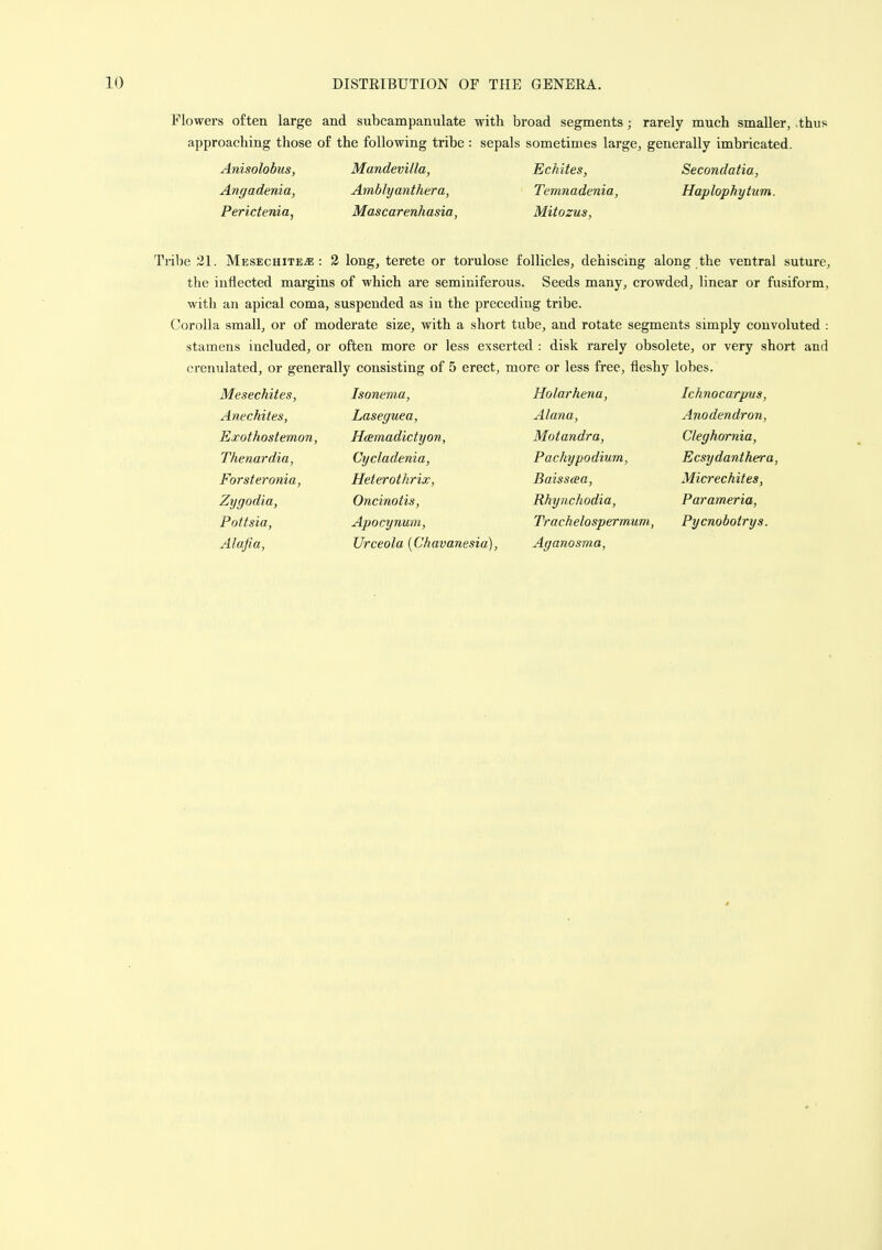Flowers often large and subcampanulate with broad segments; rarely much smaller, thus approaching those of the following tribe : sepals sometimes large, generally imbricated. Tribe 21. Mesechite^ : 2 long, terete or torulose follicles, dehiscing along the ventral suture, the inflected margins of which are seminiferous. Seeds many, crowded, linear or fusiform, with an apical coma, suspended as in the preceding tribe. Corolla small, or of moderate size, with a short tube, and rotate segments simply convoluted : stamens included, or often more or less exserted : disk rarely obsolete, or very short and crenulated, or generally consisting of 5 erect, more or less free, fleshy lobes. Anisolobus, Angadenia, Perictenia, Mandevilla, Ambly anther a, Mascarenhasia, Echites, Temnadenia, Mitozus, Secondatia, Haplophytum. Mesechites, Anechites, Exothostemon Thenar dia, Forsteronia, Zygodia, Pottsia, Alafia, Isonema, Laseguea, Heemadictyon, Cycladenia, Heterothrix, Oncinotis, Apocynum, Urceola {Chavanesia), Holarhena, Alana, Motandra, P achy podium, Baisscea, Rhynchodia, Trachelospermum, Aganosma, Ichnocarpns, Anodendron, Cleghornia, Ecsydanthera, Micrechites, Parameria, Pycnobotrys.