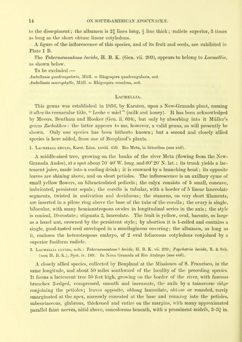 to the dissepiment; the alhumen is 2f lines long, ^ line thick; radicle superior, 3 times as long as the short ohtuse linear cotyledons. A figure of the inflorescence of this species, and of its fruit and seeds, are exhibited in Plate 1 B. The Taherncemontana lucida, H. B. K. (Gen. vii. 209), appears to belong to Lacmellia, as shown below. To be excluded:— Ambellania quadrangularis, Miill. = Rhigospira quadrangularis, nob. Ambellania ynacrophylla, Miill. = Rhigospira venulosa, nob. Lacmellia. This genus was established in 1856, by Karsten, upon a New-Granada plant, naming it after its vernacular title,  Leche e miel (milk and honey). It has been acknowledged by Messrs. Bentham and Hooker (Gen. ii. 694), but only by absorbing into it Miiller's genus ZscJiokkea : the latter appears to me, however, a valid genus, as will presently be shown. Only one species has been hitherto known; but a second and closely allied species is here added, from one of Bonpland's plants. 1. Lacmellia edulis, Karst. Linn, xxviii. 450. Rio Meta, in littoribus (non vidi). A middle-sized tree, growing on the banks of the river Meta (flowing from the New- Granada Andes), at a spot about 70° 40' W. long, and 60° 20' N. lat.: its trunk yields a lac- tescent juice, made into a cooling drink; it is crowned by a branching head ; its opposite leaves are shining above, and on short petioles. The inflorescence is an axillary cyme of small yellow flowers, on bibracteolated pedicels; the calyx consists of 5 small, concave, imbricated, persistent sepals; the corolla is tubular, with a border of 5 linear lanceolate segments, twisted in aestivation and deciduous; the stamens, on very short filaments, are inserted in a pilose ring above the base of the tube of the corolla; the ovary is single, bilocular, with many hemianatropous ovules in longitudinal series in the axis; the style is conical, 10-costate; stigmata 2, lanceolate. The fruit is yellow, oval, baccate, as large as a hazel nut, crowned by the persistent style; by abortion it is 1-celled and contains a single, good-tasted seed enveloped in a mucilaginous covering; the albumen, as long as it, encloses the heterotropous embryo, of 2 oval foliaceous cotyledons conjoined by a superior fusiform radicle. 2. Lacmellia lucida, nob. : Tabernaemontana'^ lucida, H. B. K. vii. 209; Psychotria lucida, R. & Sch. (non H. B. K.), Syst. iv. 189. In Nova Granada ad Rio Atabapo {non vidi). A closely allied species, collected by Bonpland at the Missiones of S. Prancisco, in the same longitude, and about 50 miles southward of the locality of the preceding species. It forms a lactescent tree 50 feet high, growing on the border of the river, with fuscous branches 2-edged, compressed, smooth and incrassate, the axils by a transverse ridge conjoining the petioles; leaves opposite, oblong lanceolate, obtuse or rounded, rarely emarginated at the apex, narrowly cuneated at the base and running into the petioles, subcoriaceous, glabrous, thickened and entire on the margins, with many approximated parallel faint nerves, nitid above, concolorous beneath, with a prominent midrib, 3-31^ in.