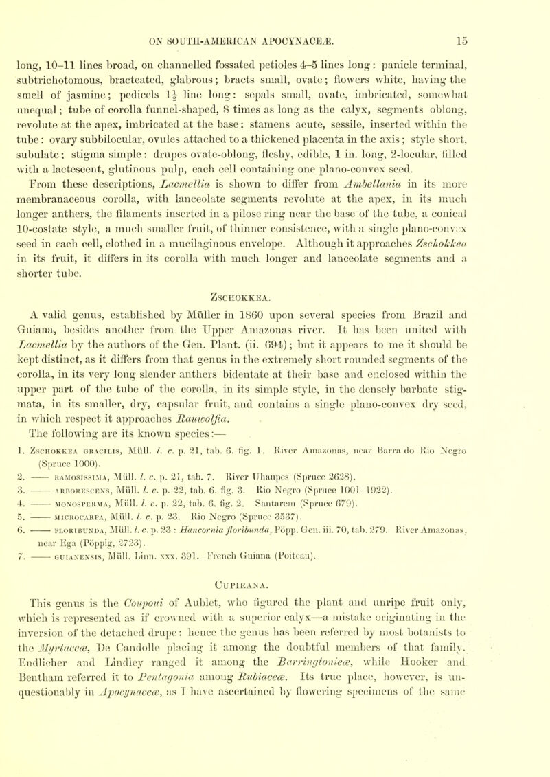 long, 10-11 lines broad, on channelled fossated petioles 4-5 lines long: panicle terminal, subtricbotomous, bracteated, glabrous; bracts small, ovate; floAvers white, having the smell of jasmine; pedicels 1^ line long: sepals small, ovate, imbricated, somewhat unequal; tube of corolla funnel-shaped, 8 times as long as the calyx, segments oblong, revolute at the apex, imbricated at the base: stamens acute, sessile, inserted within the tube: ovary subbilocular, ovules attached to a thickened placenta in the axis ; style short, subulate; stigma simple: drupes ovate-oblong, fleshy, edible, 1 in. long, 2-locular, tilled with a lactescent, glutinous pulp, each cell containing one plano-convex seed. Erom these descriptions, Lamiellia is shown to differ from Amhellania in its more membranaceous corolla, with lanceolate segments revolute at the apex, in its much longer anthers, the filaments inserted in a pilose ring near the base of the tube, a conical 10-costate style, a much smaller fruit, of thinner consistence, with a single plano-convex seed in each cell, clothed in a mucilaginous envelope. Although it approaches Zschokkea in its fruit, it differs in its corolla with much longer and lanceolate segments and a shorter tube. Zschokkea. A valid genus, established by MliUer in 18G0 upon several species from Brazil and Guiana, besides another from the Upper Amazonas river. It has been united with Lacmellla by the authors of the Gen. Plant, (ii. 694!); but it appears to me it should be kept distinct, as it differs from that genus in the extremely short rounded segments of the corolla, in its very long slender anthers bideutate at their base and ciiclosed within the upper part of the tube of the corolla, in its simple style, in the densely barbate stig- mata, in its smaller, dry, capsular fruit, and contains a single plano-convex dry seed, in which respect it approaches Rauivoljia. The following are its known species:— 1. Zschokkea gracilis, Miill. /. c. p. 21, tab. G. fig. 1. River Amazonas, near Barra do Rio Negro (Spruce 1000). 2. KAMosissiMA, Miill. /. c. p. 21, tab. 7. River Uhaupes (Spruce 2628). 3. —— A1U50RESCENS, MuU. /. c. p. 22, tab. 6. fig. 3. Rio Negro (Spruce 1001-1922). 4. MONosPERMA, Miill. /. c. p. 22, tab. G. fig. 2. Santarem (Spruce G79). 5. MiCKocARPA, Miill. I. c. p. 23. Rio Negro (Spruce 3537). G. ELORinuNDA, Miill. /. c. p. 23 : Hancornia floribunda, Popp. Gen. iii. 70, tab. 279. River Amazonas, near Ega (Poppig, 2723). 7. GuiANENSis, Miill. Linn. xxx. 391. French Guiana (Poiteau). CUPIRANA. This genus is the Coupoui of Aublet, who figured the plant and unripe fruit only, which is represented as if cro\A'ned with a superior calyx—a mistake originating in the inversion of the detached drupe: hence the genus has been referred by most botanists to the Ilijt'tacece, De Candolle placing it among the doul)tful members of that family. Endlicher and Lindley ranged it among the BarHngtoniece, while Hooker and Bentham referred it to Pentagonia among Muhiacece. Its true place, however, is un- questionably in Apocynaceoi, as I have ascertained by flowering specimens of the same