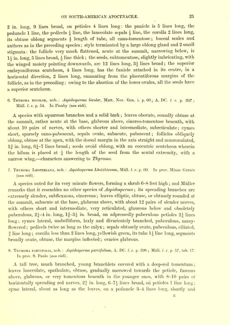 2 in. long, 9 lines broad, on petioles 4 lines long: the panicle is 5 lines long, the peduncle 1 line, the pedicels ^ line, the lanceolate sepals | line, the corolla 2 lines long, its obtuse oblong segments ^ length of tube, all cano-tomentose; buccal scales and anthers as in the preceding species; style terminated by a large oblong gland and 2 small stigmata: the follicle very much flattened, acute at the summit, narrowing below, is H in. long, 5 lines broad, | line thick; the seeds, subtomentose, slightly imbricating, with the winged moiety pointing downwards, are 12 lines long, 3| lines broad; the superior embryoniferous scutcheon, 4 lines long, has the funicle attached in its centre, in a horizontal direction, 2 lines long, emanating from the placentiferous margins of the follicle, as in the preceding; owing to the abortion of the lower ovules, all the seeds have a superior scutcheon. 6. Thyroma bicolor, nob.: Aspidosperma bicolor, Mart. Nov. Gen. i. p. 60; A. DC. /. c. p. 397; Miill. /. c. p. 54. In Piauhy [non vidi). A species with squarrose branches and a solid bark; leaves obovate, roundly obtuse at the summit, rather acute at the base, glabrous above, cinereo-tomentose beneath, with about 10 pairs of nerves, with others shorter and intermediate, subreticulate; cymes short, sparsely cano-pubescent, sepals ovate, subacute, pubescent; follicles obliquely oblong, obtuse at the apex, with the dorsal margin in the axis straight and mucronulated. If in. long, 6|-7 lines broad; seeds ovoid oblong, with an eccentric scutcheon wherein the hilum is placed at | the length of the seed from the scutal extremity, with a narrow wing,—characters answering to Thyroma. 7. Thyroma Lhotzkiana, nob.: Aspidosperma Lhotzkianum, Miill. L c. p. GO. In prov. Minas Geraes {non vidi). A species noted for its very minute flowers, forming a shrub 6-8 feet high ; and Miiller remarks that it resembles no other species of Aspidosperma; its spreading branches ar^ extremely slender, subflexuous, cinereous; leaves elliptic, obtuse, or obtusely rounded at the summit, subacute at the base, glabrous above, with about 12 pairs of slender nerves, with others short and intermediate, very reticulated, glaucous below and obsoletely puberulous, 2|-4 in. long, lf-3|^ in. broad, on adpressedly puberulous petioles 2| lines long; cymes lateral, umbelliform, laxly and divaricately branched, puberulous, many- flowered ; pedicels twice as long as the calyx; sepals obtusely ovate, puberulous, ciliated, f line long; corolla less than 2 lines long, yellowish green, its tube 1\ line long, segments broadly ovate, obtuse, the margins inflected; ovaries glabrous. 8. Thyroma parvifolia, nob. : Aspidosperma parvifolium, A. DC. /. c. p. 398 ; Miill. /. c. p. 57, tab. 17. In prov. S. Paulo [non vidi). A tall tree, much branched, young branchlets covered with a deep-red tomentum; leaves lanceolate, spathulate, obtuse, gradually narrowed towards the petiole, fuscous above, glabrous, or very tomentous beneath in the younger ones, with 8-10 j)airs of horizontally spreading red nerves, 2f in. long, 6-7i lines broad, oii petioles 1 line long; cyme lateral, about as long as the leaves, on a peduncle 3-4 lines long, shortly and E