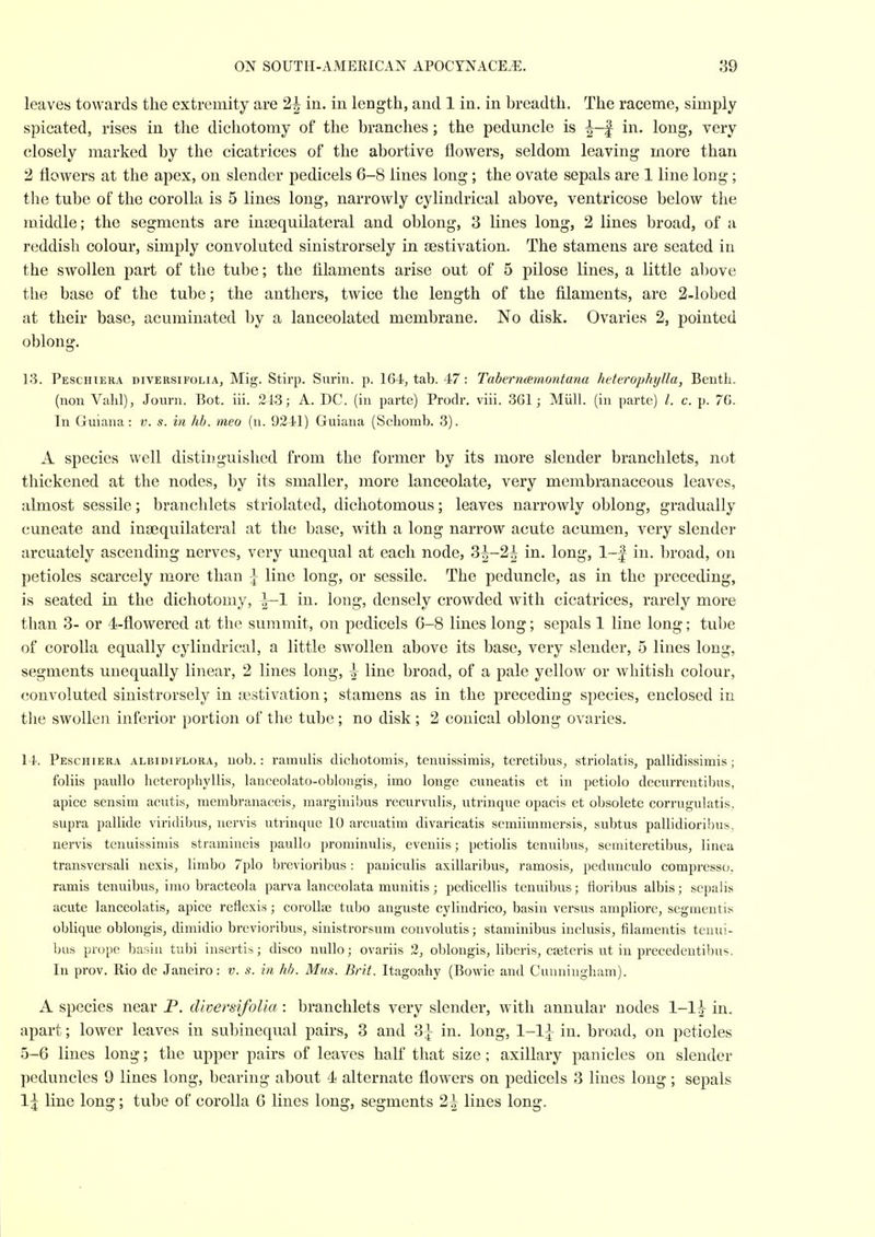 leaves towards the extremity are 2^ in. in length, and 1 in. in breadth. The raceme, simply spicated, rises in the dichotomy of the branches; the peduncle is ^-f in. long, very closely marked by the cicatrices of the abortive flowers, seldom leaving more than 2 flowers at the apex, on slender pedicels 6-8 lines long; the ovate sepals are 1 line long ; the tube of the corolla is 5 lines long, narrowly cylindrical above, ventricose below the middle; the segments are inaequilateral and oblong, 3 lines long, 2 lines broad, of a reddish colour, simply convoluted sinistrorsely in aestivation. The stamens are seated in the swollen part of the tube; the filaments arise out of 5 pilose lines, a little above the base of the tube; the anthers, twice the length of the filaments, are 2-lobed at their base, acuminated by a lanceolated membrane. No disk. Ovaries 2, pointed oblong. 13. Peschiera diversifolia, Mig. Stirp. Sarin, p. 164, tab. 47: TaberrKsmontana heterophylla, Bentli. (non Valil), Journ. Bot. iii. 213; A. DC. (in parte) Prodr. viii. 361; Miill. (in parte) /. c. p. 76. In Guiana: v. s. in hb. meo (n. 9241) Guiana (Scliomb. 3). A species well distinguished from the former by its more slender branclilets, not thickened at the nodes, by its smaller, more lanceolate, very membranaceous leaves, almost sessile; branclilets striolated, dichotomous; leaves narrowly oblong, gradually cuneate and ingequilateral at the base, with a long narrow acute acumen, very slender arcuately ascending nerves, very unequal at each node, 3^-2^ in. long, 1-| in. broad, on petioles scarcely more than \ line long, or sessile. The peduncle, as in the preceding, is seated in the dichotomy, ^—1 in. long, densely crowded with cicatrices, rarely more than 3- or 4-flowered at the summit, on pedicels 6-8 lines long; sepals 1 line long; tube of corolla equally cylindrical, a little swollen above its base, very slender, 5 lines long, segments unequally linear, 2 lines long, line broad, of a pale yellow or whitish colour, convoluted sinistrorsely in a3stivation; stamens as in the preceding species, enclosed in the swollen inferior portion of the tube; no disk ; 2 conical oblong ovaries. 14. Peschiera albidiflora, nob.: ramulis dicliotomis, tenuissimis, teretibus, striolatis, pallidissimis ; foliis paullo heterophyllis, lauceolato-oblongisj imo longe cuneatis et in petiolo decurrentibus, apice sensira acutis, membranaceis^ marginibus recurvulis, utrinque opacis et obsolete corrugulatis. supra pallide viridibus, uervis utrinque 10 arcuatim divaricatis semiimmersis, subtus pallidioribus, nervis tenuissimis stramincis paullo prominulis, eveniis; petiolis tenuibus, semiteretibus, linea transversali nexis, limbo 7plo brevioribus: paniculis axillaribus, ramosis, peduuculo compresso. ramis tenuibus, imo bracteola parva lanceolata munitis; pcdicellis tenuibus; fioribus albis; sepalis acute lanceolatis, apice reflexis; coroUse tubo anguste cylindrico, basin versus ampliore, segmentis oblique oblongis, dimidio brevioribus, sinistrorsum convolutis; staminibus inclusis, filamentis tenui- bus prope basin tubi insertis; disco nullo; ovariis 2, oblongis, liberis, cseteris ut in precedentibus. In prov. Rio de Janeiro: v. s. in hh. Mus. Brit. Itagoahy (Bowie and Cunningham). A species near P. diversifolia: branchlets very slender, with annular nodes 1-1^ in. apart; lower leaves in subinequal pairs, 3 and 3^ in. long, 1-1^ in. broad, on petioles 5-6 lines long; the upper pairs of leaves half that size; axillary panicles on slender peduncles 9 lines long, bearing about 4 alternate flowers on pedicels 3 lines long; sepals 1^ line long; tube of corolla 6 lines long, segments 2|^ lines long.