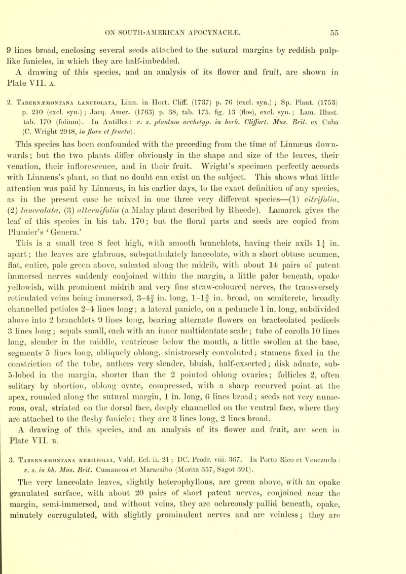 9 lines broad, enclosing several seeds attached to the sutural margins by reddish pulp- like funicles, in which they are half-imbedded. A drawing of tliis species, and an analysis of its flower and fruit, are shown in Plate VII. A. 2. Tabern^montana lanceolata, Linn, in Hort. Cliff. (1737) p. 76 (excl. syu.) ; Sp. Plant. (1753) p. 210 (excl. syn.) ; Jacq. Amer. (1763) p. 38, tab. 175. fig. 13 (flos), excl. syn.; Lara. lUnst. tab. 170 (folium). In Antilles: v. s. plantain archetyp. in herb. Cliffort. Mus. Brit, ex Cuba (C. Wright 2918, in flare etfructu). This species has been confounded with the preceding from the time of Linna3us down- wards ; but the two plants differ obviously in the shape and size of the leaves, their venation, their inflorescence, and in their fruit. Wright's specimen perfectly accords with Linnaeus's plant, so that no doubt can exist on the subject. This shows what little attention was paid by Linnasus, in his earlier days, to the exact definition of any species, as in the present case he mixed in one three very different species—(1) citrifolia, (2) lanceolata, (3) altemifolia (a Malay plant described by Rheede). Lamarck gives the leaf of this species in his tab. 170; but the floral parts and seeds are copied from Plumier's ' Genera.' This is a small tree 8 feet high, with smooth branchlets, having their axils \^ in, apart; the leaves are glabrous, subspatliulately lanceolate, with a short obtuse acumen, flat, entire, pale green above, sulcated along the midrib, with about 14 pairs of patent immersed nerves suddenly conjoined within the margin, a little paler beneath, opake yellowish, with prominent midrib and very fine straw-coloured nerves, the transversely reticulated veins being immersed, 3-4| in. long, 1-lf in. broad, on semiterete, broadly channelled petioles 2-4 lines long; a lateral panicle, on a peduncle 1 in. long, subdivided above into 2 branchlets 9 lines long, bearing alternate flowers on bracteolated pedicels 3 lines long ; sepals small, each with an inner multidentate scale ; tube of corolla 10 lines long, slender in the middle, ventricose below the mouth, a little swollen at the base, segments 5 lines long, obliquely oblong, sinistrorsely convoluted; stamens fixed in the constriction of the tube, anthers very slender, bluish, half-exserted; disk adnate, sub- 5-lobed in the margin, shorter than the 2 pointed oblong ovaries; follicles 2, often solitary by abortion, oblong ovate, compressed, with a sharp recurved point at the apex, rounded along the sutural margin, 1 in. long, 6 lines broad; seeds not very nume- rous, oval, striated on the dorsal face, deeply channelled on the ventral face, where they are attached to the fleshy funicle ; they are 3 lines long, 2 lines broad. A drawing of this species, and an analysis of its flower and fruit, are seen in Plate VII. B. 3. Tabern.^;montana neriifolia, Valil, Eel. ii. 21; DC. Prodr. viii. 367. In Porto Rico et Venezuela: V. s. in hb. Mus. Brit. Cumancoa et Maracaibo (Moritz 357, Sagot 391). The very lanceolate leaves, slightly heterophyllous, are green above, with an opake granulated surface, with about 20 pairs of short patent nerves, conjoined near the margin, semi-immersed, and Avithout veins, they are ochreously pallid beneath, opake, minutely corrugulated, with slightly prominulent nerves and are veinless; they are