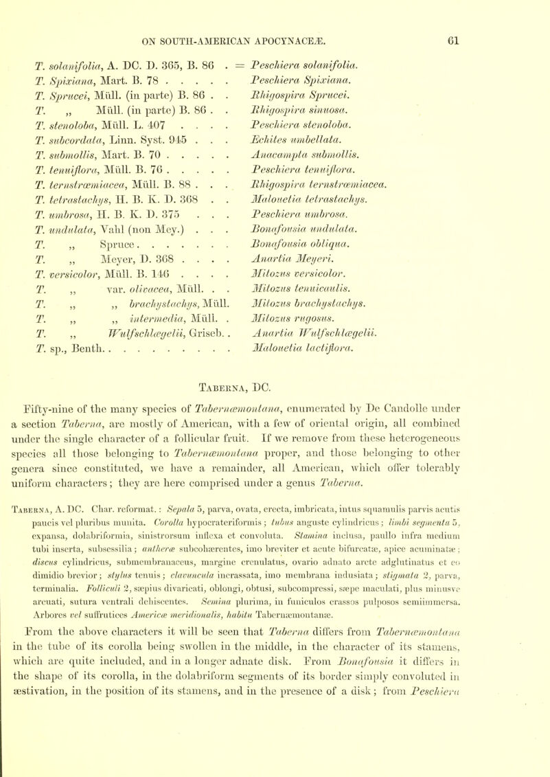 T. solanifoUa, A. DC. D. 365, B. 86 T. Sjjiximia, Mart. B. 78 . . . . T. Sprucei, Miill. (in parte) B. 86 . T. „ Mull, (in parte) B. 86 . T. stenoloha, Miill. L. 4.07 . . . T. suhcordata, Linn. Syst. 945 . . T. suhmolUs, Mart. B. 70 . . . . T. tenuijlora, Miill. B. 76 . . . . T. ternstrcemiacea, Miill. B. 88 . . T. tetrastachys, H. B. K. D. 368 . T. umbrosa, II. B. K. D. 375 . . T. undidata, Valil (non Mey.) . . T. „ Spruce T. „ Meyer, D. 368 . . . T. versicoloi', Miill. B. 146 . . . T. var. oUvacea, Miill. . T. „ ,, brach//st(fcht/s, Miill T. „ „ intermedia, Miill. T. ,, WulfschlcBgelii, Griseb. T. sp., Bentli Peschiera solanifoUa. JPescMera Sjnsiana. Hhifjospira Sprucei. Jxldgosinra sinuosa. JPescMera stenoloba. Echites umbellata. Anacomipta submollis. Feschiera temiijiora. HJ/igos^jira ternstrcemiacea. Malouetia tetrastachys. ]?eschiera umbrosa. JBonafousia midulata. Bonafousia obliqua. Anartia Meyeri. mtozns versicolor. Mitozns teimicaulis. Mitozus brachystachys. Ilitozus rugosus. Anartia WulfschIcegelii. Malouetia lactijiora. Taberna, do. Pifty-nine of the many species of Taberncertiontana, enumerated by De CandoUe under a section Taberna, are mostly of American, with a few of oriental origin, all combined under the single character of a follicular fruit. If we remove from these heterogeneous species all those belonging to Taberncemontana proper, and those belonging to other genera since constituted, we have a remainder, all American, which olTer tolerably uniform characters; they are here comprised under a genus Taberna. Taberna, A. DC. Char, i-eformat.: Sepala 5, parva, ovata, erecta, imbricata, intus squamulis parvis acutis paucis vel phu'ibus munita. Corolla liypocratcriformis ; tubus anguste cyliudriciis ; liinbi seguientao. expansa, dolabriformia, sinistroi'sum iutiexa et convoluta. Stamina inclusa, paiillo infra medium tubi inserta, subsessilia; antherce subcohsereiites, imo breviter et acute bifurcatse, apice acuminatse; discus cyliudricus, submembranaceus, margine crenulatus, ovario adnato arete adglntinatus et eo dimidio brevior; stylus icwm'i; c/ayMMa«/ff incrassata, imo membrana indusiata; stiymata 2^ parva, termiualia. Folliculi 2, saspius divaricati, oblougi, obtusi, subcompressi, sfepe maculati, plus minusve arcuati, sutura vcntrali dehiscentes. Semina plurima, in fuuiculos crassos pulposos semiiinmersa. Arbores vel suffi'utices Americcs meridionalis, habitu Tabcruajmontanas. Erom the above characters it will be seen that Taberna differs from Tabernccwiontana in the tube of its corolla being swollen in the middle, in the character of its stamens, which are quite included, and in a longer adnate disk. Prom Bonafousia it differs m the shape of its corolla, in the dolabriform segments of its border simply convoluted in aestivation, in the position of its stamens, and in the presence of a disk; from Peschieni