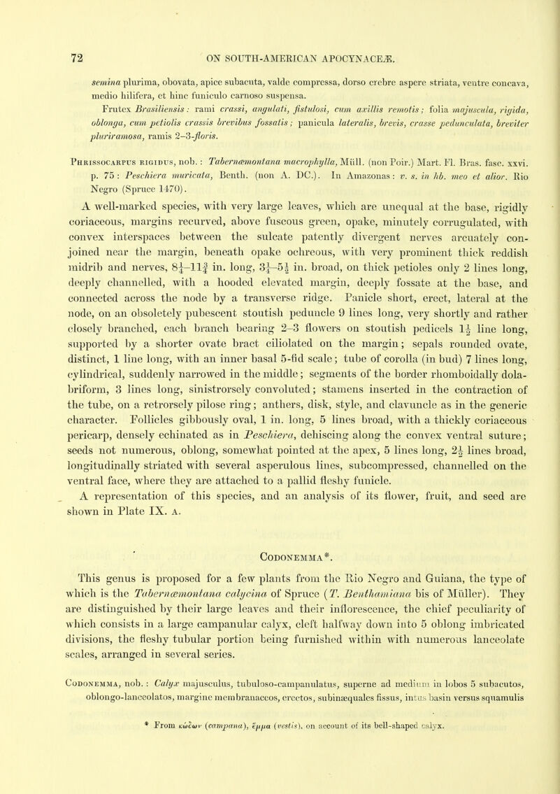 semina plmuma, obovata, apice subacuta, valde compressa, dorso crebre aspere striata, ventre concava, medio hilifera, et hinc funiculo carnoso suspensa. Frutex Brasiliensis: rami crassi, angulati, fistulosi, cum axillis rernotis; folia rnajuscula, rigida, oblonga, cum petiolis crassis brevibus fossatis; panicula lateralis, brevis, crasse pedunculata, breviter pluriramosa, ramis 2-3-fions. Phrissocarpus rigidus, nob. : Taberncemontana macrophylla, Miill. (non Poir.) Mart. Fl. Bras. fasc. xxvi. p. 75: Peschiera muricata, Bentb. (uon A. DC). In Amazonas: v. s. in hb. meo et alior. Rio Negro (Spruce 1470). A well-marked species, with very large leaves, which are unequal at the base, rigidly- coriaceous, margins recurved, above fuscous green, opake, minutely corrugulated, with convex interspaces between the sulcate patently divergent nerves arcuately con- joined near the margin, beneath opake ochreous, with very prominent thick reddish midrib and nerves, Sj-llf in. long, 85—51 in. broad, on thick petioles only 2 lines long, deeply channelled, with a hooded elevated margin, deeply fossate at the base, and connected across the node by a transverse ridge. Panicle short, erect, lateral at the node, on an obsoletely pubescent stoutish peduncle 9 lines long, very shortly and rather closely branched, each branch bearing 2-3 flowers on stoutish pedicels 1^ line long, supported by a shorter ovate bract ciliolated on the margin; sepals rounded ovate, distinct, 1 line long, with an inner basal 5-fid scale; tube of corolla (in bud) 7 lines long, cylindrical, suddenly narrowed in the middle; segments of the border rhomboidally dola- briform, 3 lines long, sinistrorsely convoluted; stamens inserted in the contraction of the tube, on a retrorsely pilose ring; anthers, disk, style, and clavuncle as in the generic character. PoUicles gibbously oval, 1 in. long, 5 lines broad, with a thickly coriaceous pericarp, densely echinated as in Peschiera, dehiscing along the convex ventral suture; seeds not numerous, oblong, somewhat pointed at the apex, 5 lines long, 2^ lines broad, longitudinally striated with several asperulous lines, subcompressed, channelled on the ventral face, where they are attached to a pallid fleshy funicle. A representation of this species, and an analysis of its flower, fruit, and seed are shown in Plate IX. a. CODONEMMA*. This genus is proposed for a few plants from the Bio Negro and Guiana, the type of which is the Taherncemontana calyc'ma of Spruce {T. Benthamiana bis of Miiller). They are distinguished by their large leaves and their inflorescence, the chief peculiarity of which consists in a large campanular calyx, cleft halfway down iuto 5 oblong imbricated divisions, the fleshy tubular portion being furnished within with numerous lanceolate scales, arranged in several series. CoDONEMMA, uob. : Culyx majusculus, tubuloso-campaniilatus, superne ad mediuDi in lobos 5 subacutos, oblongo-lanceolatos, margine mem brauaceos, erectos, subinaequales fissus, intus basin versus squamulis * From {campana), ejxfia (vestls), on account of its bell-shaped calyx.