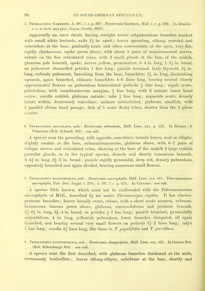 5. Thyrsanthus Gardneri, A. DC. /. c. p. 387: Forsteronia Gardneri, Miill. /. c. p. 100. lu Brasilia: V. s. in herb, into prov. Goyaz (Gardn. 3891). Apparently an erect shrub, having straight terete subpuherulous branches marked with small white lenticels, axils 1^ in. apart; leaves spreading, oblong, rounded and subcordate at the base, gradually acute and often mucronulate at the apex, very flat, rigidly chartaceous, opake green above, with about 8 pairs of semi-immersed nerves, sulcate on the fine reticulated veins, with 2 small glands at the base of the midrib, glaucous pale beneath, opake, nerves yellow, prominulent, 3-4 in. long, 1-1^ in. broad, on pubescent channelled petioles 1 line long; panicle terminal, laxly thyrsoid, 3^ in. long, rufously pubescent, branching from the base, branchlets 1\ in. long, diminishing upwards, again branched, ultimate branchlets 4-6 lines long, bearing several closely approximated flowers on puberulous bracteolated pedicels \ line long; sepals acute, piiberulous, with membranaceous margins, \ line long, with 3 minute inner basal scales; corolla reddish, glabro,us outside; tube \ line long; segments acute, densely lanate within, dextrorsely convolute; anthers subincluded, glabrous, smallish, with 2 parallel obtuse basal prongs; disk of 5 ovate fleshy lobes, shorter than the 2 pilose ovaries. 6. Thyrsanthus auenobasis, nob.: Forsteronia adenobasis, Miill. Linn. xxx. p. 412. In Guiana: fl. Pomeroon (Rob. Schonib. 707) : 7ion vidi. A species near the preceding, with opposite, sometimes ternate leaves, oval or elliptic, slightly cordate at the base, submembranaceous, glabrous above, with 6-7 pairs of oblique nerves and reticulated veins, showing at the base of the midrib 2 large reddish granular glands, as in the typical species, densely and shortly tomentous beneath, 4- 4f in. long, 2|-3 in. broad; panicle rigidly pyramidal, deep red, densely puberulous, oppositely branched and again divided, bearing numerous small flowers. 7. Thyrsanthus macrophyllus, nob.: Forsteronia macrophylla, Miill. Linn. xxx. 411 : Tabernamontana macrophylla, Poir. Diet. Suppl. v. 276; A. DC. /. c. p. 374. In Cayenne : non vidi. A species little known, which must not be confounded with the TaherncBinontana macrophylla of Miill., described by me under J?hrissocarpus rigidus. It has cinereo- pruinose branches; leaves broadly ovate, obtuse, with a short acute acumen, submem- branaceous, fuscous green above, glabrous, cinereo-fulvous aiid pruinose beneath, 05- 61 in. long, 3f-4 in. broad, on petioles ^-1 line long; panicle terminal, pyramidally corymbiform, 4 in. long, yellowish puberulous, lower branches elongated, all again branched, and bearing several very small flowers on pedicels 1^-2 lines long; calyx 1 line long; corolla 2| lines long, like those in T. popul/foUa and T. parvifiora. * »•:: 8. Thyrsanthtjs diospyrifolius, nob. : Forsteronia diospyrifolia, Miill. Linn. xxx. 415. In Guiana Brit. . ; (Rob. Schomburgk 834) : non vidi. ■.r.A. species near the first described, with glabrous branches thickened at the axils, verrueously lenticellate; leaves oblong-elliptic, subobtuse at the base, shortly and