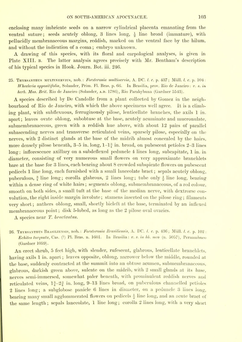 enclosing many imbricate seeds on a narrow cylindrical placenta emanating from the ventral suture; seeds acutely oblong, 3 lines long, ^ line broad (immature), with pellucidly membranaceous margins, reddish, marked on the ventral face by the hilum, and without the indication of a coma; embryo unknown. A drawing of this species, with its floral and carpological analyses, is given in Plate XIII. B. The latter analysis agrees precisely with Mr. Bentham's description of his typical species in Hook. Journ. Bot. iii. 246. 25. Thyrsanthxjs multtnervius, nob.: Forsteronia multinervia, A. DC. /. c. p. 437; Miill. /. c. p. 104: Wheeleria oppositifoHa, Solauder, Prim. Fl. Bras. p. 66. In Brasilia, prov. Rio de Janeiro: v. s. m herb. Mus. Brit. Rio de Janeiro (Solauder, a.d. 1786), Rio Parahybuna (Gardner 5543). A species described by De Candolle from a plant collected by Gomez in the neigh- bourhood of R^io de Janeiro, with which the above specimens well agree. It is a climb- ing plant, with subflexuous, ferruginously pilose, lenticeUate branches, the axils 1 in. apart; leaves ovate oblong, subobtuse at the base, acutely acuminate and mucronulate, submembranaceous, green with a reddish hue above, with about 12 pairs of parallel subascending nerves and transverse reticulated veins, sparsely pilose, especially on the nerves, with 2 distinct glands at the base of the midrib almost concealed by the hairs, more densely pilose beneath, 3-5 in. long, 1-lf in. broad, on pubescent petioles 2-3 lines long; inflorescence axillary on a subdeflexed peduncle 4 lines long, subcapitate, 1 in. in diameter, consisting of very numerous small flowers on very approximate branchlets bare at the base for 3 lines, each bearing about 8 crowded subspicate flowers on pubescent pedicels 1 line long, each furnished with a small lanceolate bract; sepals acutely oblong, puberulous, f line long; corolla glabrous, 2 lines long; tube only ^ line long, bearing within a dense ring of white hairs ; segments oblong, submembranaceous, of a red colour, smooth on both sides, a small tuft at the base of the median nerve, with dextrorse con- volution, the right inside margin involute; stamens inserted on the pilose ring; filaments very short; anthers oblong, small, shortly bicleft at the base, terminated by an inflexed membranaceous point; disk 5-lobed, as long as the 2 pilose oval ovaries. A species near T. bracteatus. 26. Thyrsanthus Brasiliensis, nob.: Forsteronia Brasiliensis, A. DC. /. c. p. 436; Miill. /. c. p. 102 : Echites torquata, Cas. (?) PI. Bras. n. 1601. In Brasilia: v. s. in hb. meo (u. 5057), Pcruarabuco (Gardner 1059). An erect shrub, 5 feet high, with slender, rufescent, glabrous, lenticellate branchlets, having axils 1 in. apart; leaves opposite, oblong, narrower below the middle, rounded at the base, suddenly contracted at the summit into an obtuse acumen, submembranaceous, glabrous, darkish green above, sulcate on the midrib, with 2 small glands at its base, nerves semi-immersed, somewhat paler beneath, with prominulent reddish nerves and reticulated veins, 1|-2| in. long, 9-13 lines broad, on puberulous channelled petioles 2 lines long; a subglobose panicle 6 lines in diameter, on a peduncle 3 lines long, bearing many small agglommerated flowers on pedicels ^ line long, and an acute bract of the same length; sepals lanceolate, 1 line long; corolla 2 lines long, with a very short