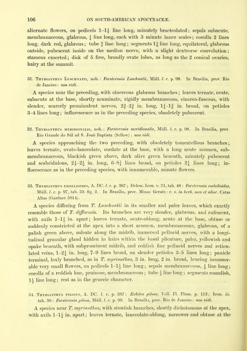 alternate flowers, on pedicels 1-1^ line long, minutely bracteolated; sepals subacute, membranaceous, glabrous, ^ line long, each with 3 minute inner scales; corolla 2 lines long, dark red, glabrous; tube f line long; segments 1^ line long, equilateral, glabrous outside, pubescent inside on the median nerve, with a slight dextrorse convolution; stamens exserted; disk of 5 free, broadly ovate lobes, as long as the 2 conical ovaries, hairy at the summit. 31. Thyrsanthus Ltjschnatii, nob.: Forsteronia Luschnatii, Miill. I. c. p. 98. In Brasilia, prov. Rio de Janeiro : non vidi. A species near the preceding, with cinereous glabrous branches ; leaves ternate, ovate, subacute at the base, shortly acuminate, rigidly membranaceous, cinereo-fuscous, with slender, scarcely prominulent nerves, 2|-2| in. long, l^-lf in. broad, on petioles 3-4 lines long; inflorescence as in the preceding species, obsoletely pubescent. 32. Thyrsanthus meridionalis, nob.: Forsteronia meridionalis, Miill. /. c. p. 98. In Brasilia, prov. Hio Grande do Sul ad S. Joao Baptista (Sellow) : non vidi. A species approaching the two preceding, with obsoletely tomentellous branches; leaves ternate, ovate-lanceolate, cordate at the base, with a long acute acumen, sub- membranaceous, blackish green above, dark olive green beneath, minutely pubescent and scabridulous, 2|-2| in. long, lines broad, on petioles 2| lines long; in- florescence as in the preceding species, with innumerable, minute flowers. 33. Thyrsanthus embelioides^ A. DC. /. c. p. 387; Deless. Icon. v. 21, tab. 48 : Forsteronia embelioides, Miill. /. c. p. 97, tab. 50. fig. 2. In Brasilia, prov. Minas Geraes : v. s. in herb, meo et alior. Catas Altas (Gardner 5014). A species differing from T. Luschnatii in its smaller and paler leaves, which exactly resemble those of T. difformis. Its branches are very slender, glabrous, and rufescent, with axils 3-1^ in. apart; leaves ternate, ovate-obloag, acute at the base, obtuse or suddenly constricted at the apex into a short acumen, membranaceous, glabrous, of a palish green above, sulcate along the midrib, immersed pellucid nerves, with a longi- tudinal granular gland hidden in hairs within the basal plicature, paler, yellowish and opake beneath, with subprominent midrib, and reddish fine pellucid nerves and reticu- lated veins, 1-2^ in. long, 7-9 lines broad, on slender petioles 3-5 lines long; panicle terminal, laxly branched, as in T. myrianthus, 3 in. long, 2 in. broad, bearing innumer- able very small flowers, on pedicels 1-1^ line long; sepals membranaceous, | line long; corolla of a reddish hue, pruinose, membranaceous; tube ^ line long; segments roundish, 11 line long; rest as in the generic character. 34. Thyrsanthus pilosus, A. DC. I. c, p. 387: Echites pilosa, Veil. Fl. Flum. p. 112; Icon. iii. tab. 38 : Forsteronia pilosa, Miill. I. c. p. 99. In Brasilia, prov. Rio de Janeiro : non vidi. A species near T. myrianthus, with stoutish branches, shortly dichotomous at the apex, with axils 1-1^ in. apart; leaves ternate, lanceolate-oblong, narrower and obtuse at the