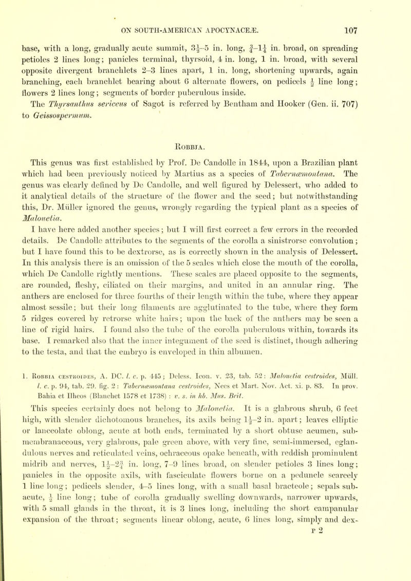 base, with a long, gradually acute summit, 3^-5 in. long, f-l^ in. broad, on spreading petioles 2 lines long; panicles terminal, thyrsoid, 4 in. long, 1 in. broad, with several opposite divergent branchlets 2-3 lines apart, 1 in. long, shortening upwards, again branching, each branchlet bearing about 6 alternate flowers, on pedicels i line long; flowers 2 lines long; segments of border puberulous inside. The Thyrsanthus sericeus of Sagot is referred by Bentham and Hooker (Gen. ii. 707) to Geissospermum. ' EOBBIA. This genus was first established by Prof. De Candolle in 1844, upon a Brazilian plant which had been previously noticed by Martins as a species of Taherncsmontana. The genus was clearly defined by De Candolle, and well figured by Delessert, who added to it analytical details of the structure of the flower and the seed; but notwithstanding this, Dr. Miiller ignored the genus, wrongly regarding the typical plant as a sjiecies of Malouetla. I have here added another species; but I will first correct a few errors in the recorded details. De Candolle attributes to the segments of the corolla a sinistrorse convolution; but I have found this to be dextrorse, as is correctly shown in the analysis of Delessert. In this analysis there is an omission of the 5 scales which close the mouth of the corolla, which De Candolle rightly mentions. These scales are placed opposite to the segments, are rounded, fleshy, ciliated on their margins, and united in an annular ring. The anthers are enclosed for three fourths of their length within the tube, where they appear almost sessile; but their long filaments are agglutinated to the tube, where they form 5 ridges covered by retrorse white hairs; upon the back of the anthers may be seen a line of rigid hairs. I found also the tube of the corolla puberulous within, towards its base. I remarked also tliat the inner integument of the seed is distinct, though adhering to the testa, and that the embryo is enveloped in thin albumen. 1. RoBBiA CESTRoiDES, A. DC. /. c. p. 445; Deless. Icon. v. 23, tab. .5.2: Malouetia cestroide&, Mull. /. c. p. 94, tab. 29. fig. 2 : Tahernmnontana cestroides, Nees et Mart. Nov. Act. xi. p. 83. In prov. Bahia et Ilheos (Blancbet 1578 et 1738) : v. s. in hb. Mus. Brit. This species certainly does not belong to Ifalouetia. It is a glabrous shrub, 6 feet high, with slender dichotomous branches, its axils being 1^-2 in. apart; leaves elliptic or lanceolate oblong, acute at both ends, terminated by a sliort obtuse acumen, sub- membranaceons, very glabrous, pale green above, with very fine, semi-immersed, eglan- dulous nerves and reticulated veins, ochraceous opake beneath, with reddish prominulent midrib and nerves, l^-2f in. long, 7-9 lines broad, on slender petioles 3 lines long; panicles in the opposite axils, with fasciculate flowers borne on a peduncle scarcely 1 line long; pedicels slender, 4-5 lines long, with a small basal bracteole; sepals sub- acute, ^ line long; tube of corolla gradually swelling downwards, narrower upwards, with 5 small glands in the throat, it is 3 lines long, including the short campanular expansion of the throat; segments linear oblong, acute, 6 lines long, simply and dex- P 2